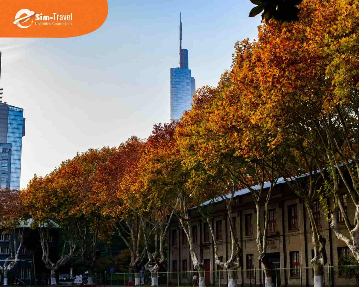 Mùa thu Nam Kinh khoác lên mình sắc đỏ cam lãng mạn