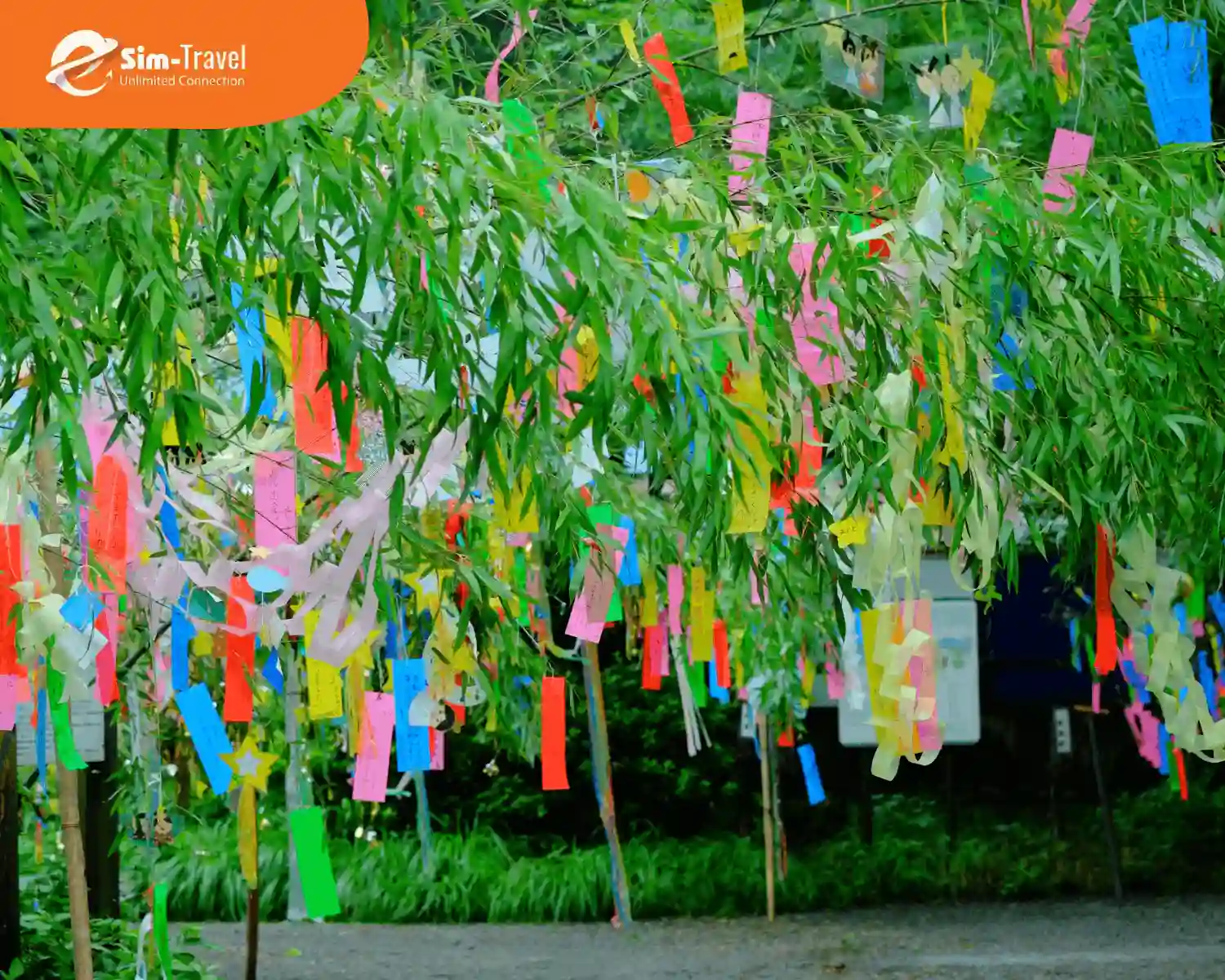 Cây ước nguyện