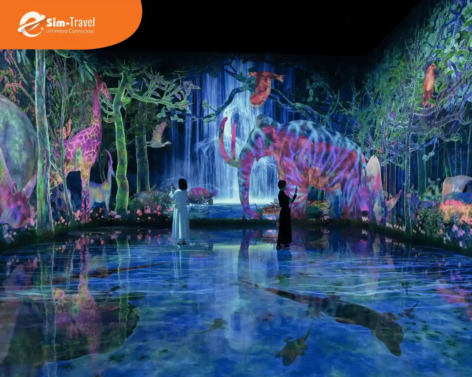 Không gian nghệ thuật huyền bí ở các triển lãm nghệ thuật số