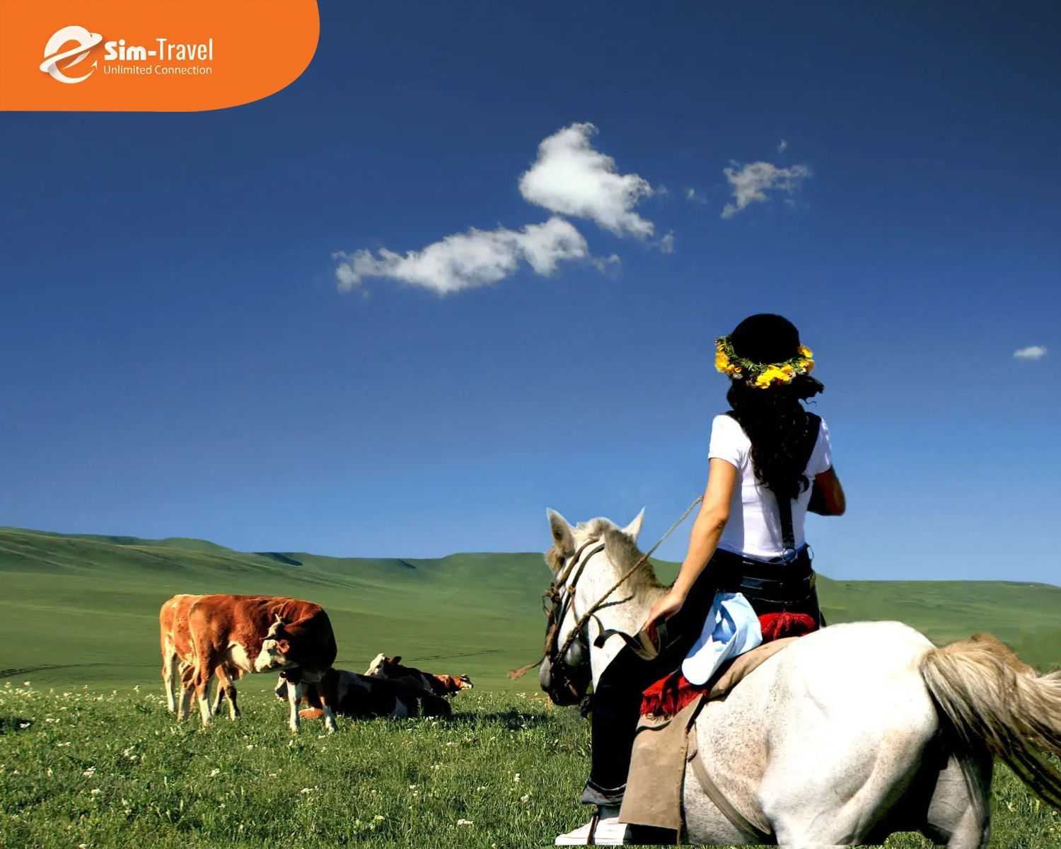 Trải nghiệm hoạt động cưỡi ngựa thú vị ở Nội Mông