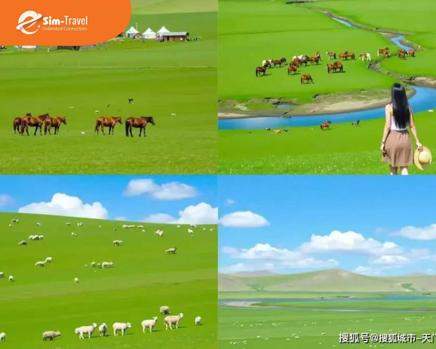 Lịch trình du lịch Nội Mông 5 - 7 ngày tiêu biểu