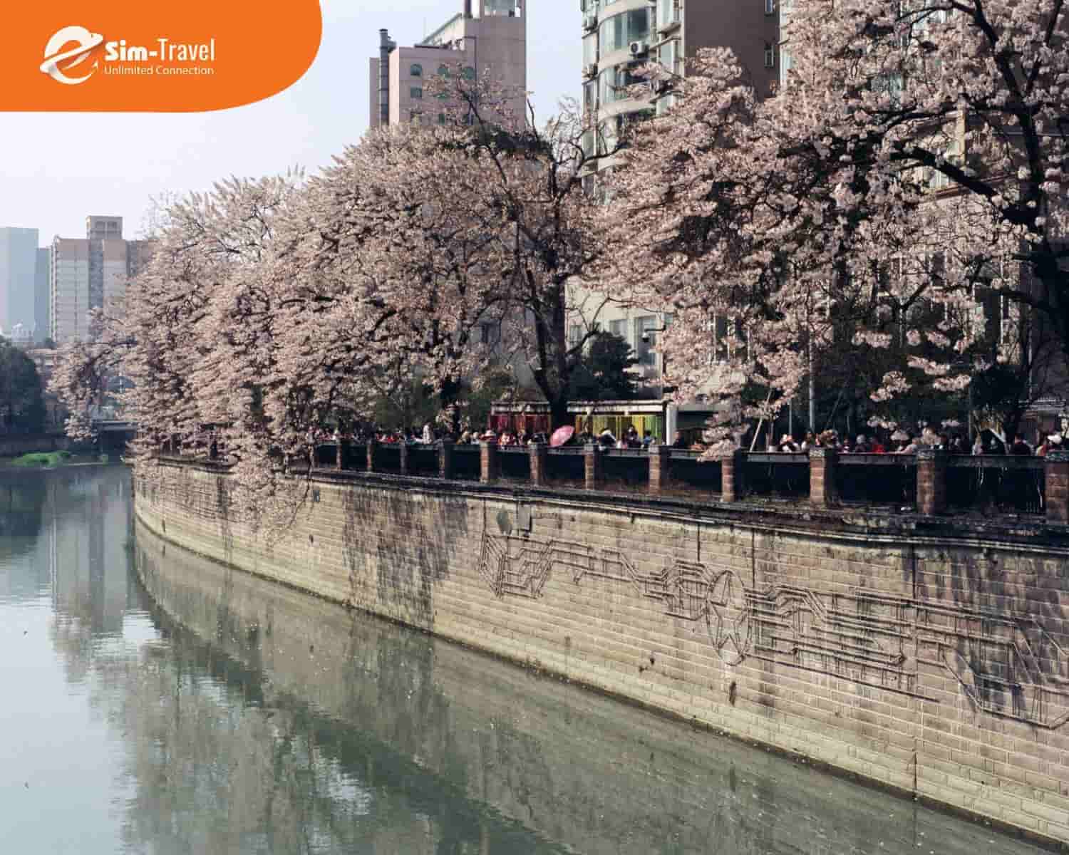 Mùa xuân ở Thành Đô hoa nở rực rỡ, tiết trời mát mẻ thích hợp tham quan khám phá