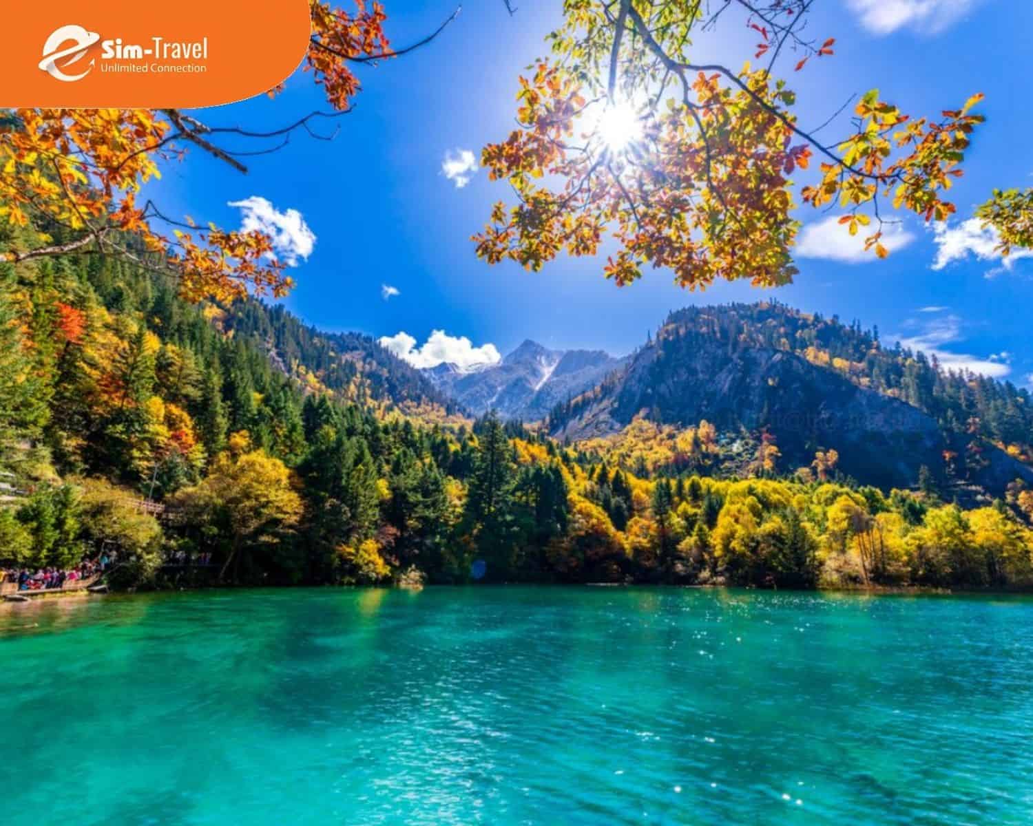Săn tour bay khuyến m&atilde;i đi Cửu Trại C&acirc;u để tận hưởng dịch vụ cao cấp với gi&aacute; ưu đ&atilde;i.