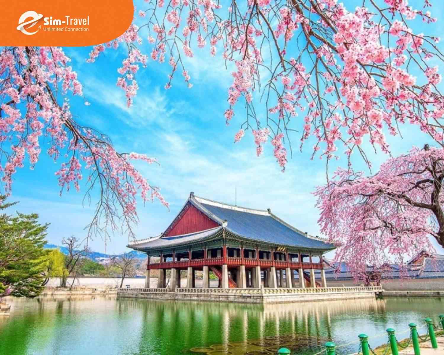 Thời điểm đẹp nhất để đi du lịch Trung Quốc l&agrave; m&ugrave;a xu&acirc;n