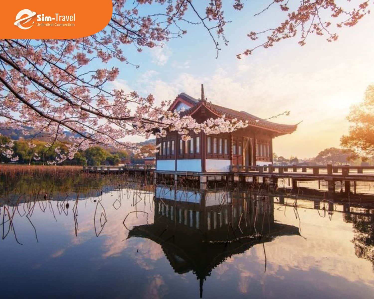 Du lịch Trung Quốc mua g&igrave; để chọn qu&agrave; chuẩn, mang về trọn vẹn