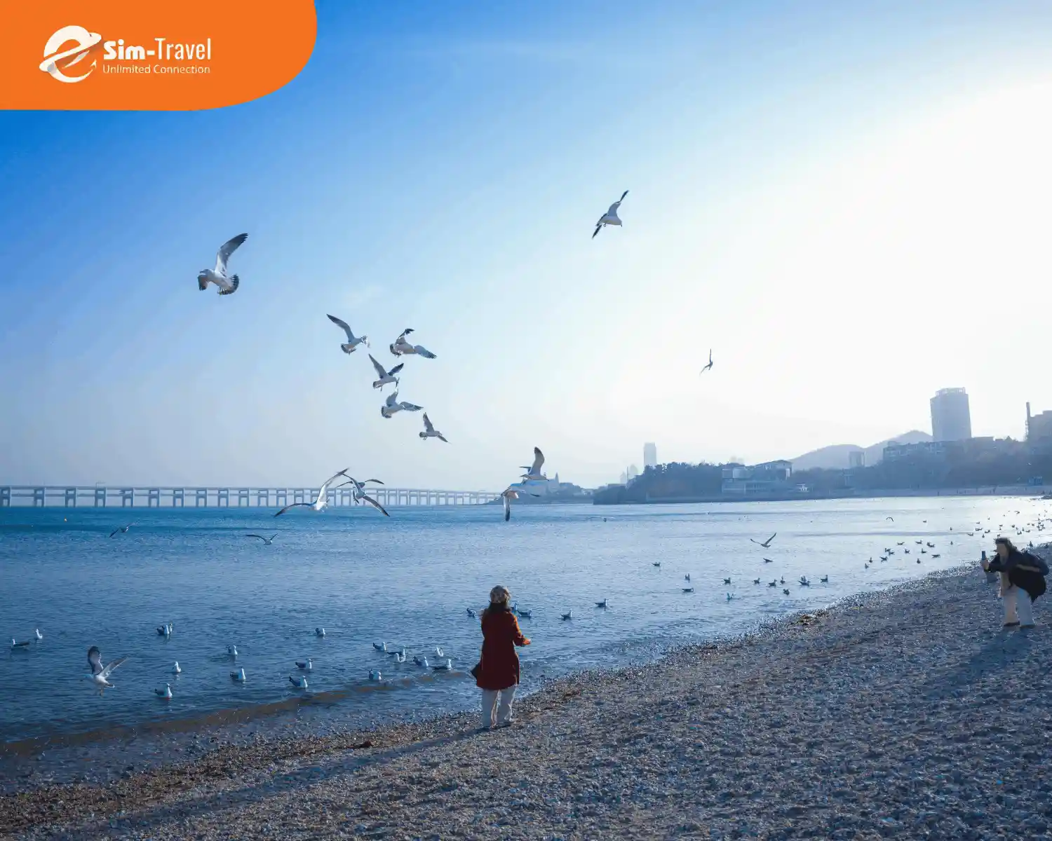 Thanh Đảo - Thành phố biển mát mẻ, trong lành