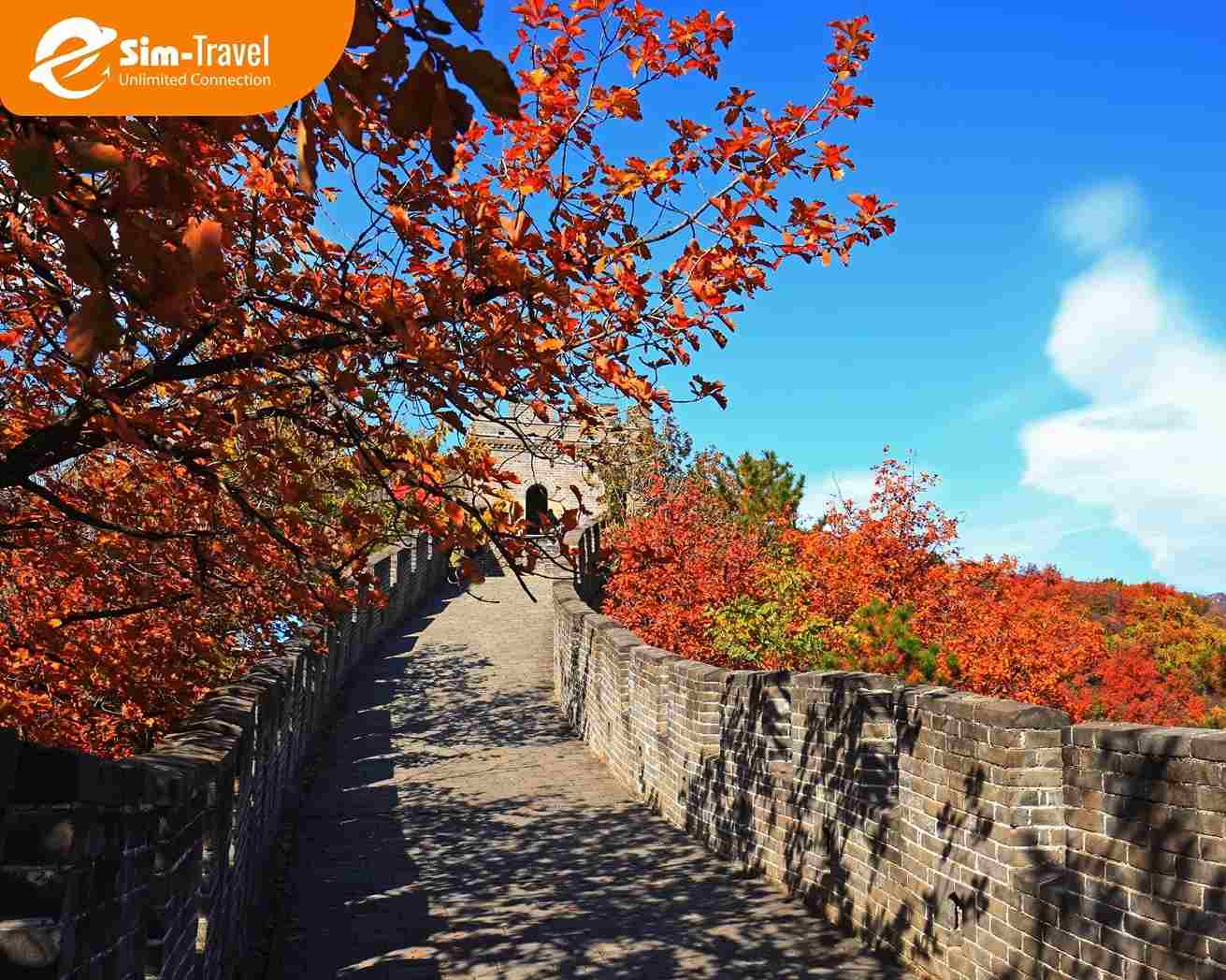 M&ugrave;a thu Vạn l&yacute; Trường Th&agrave;nh ch&igrave;m trong sắc đỏ&nbsp;