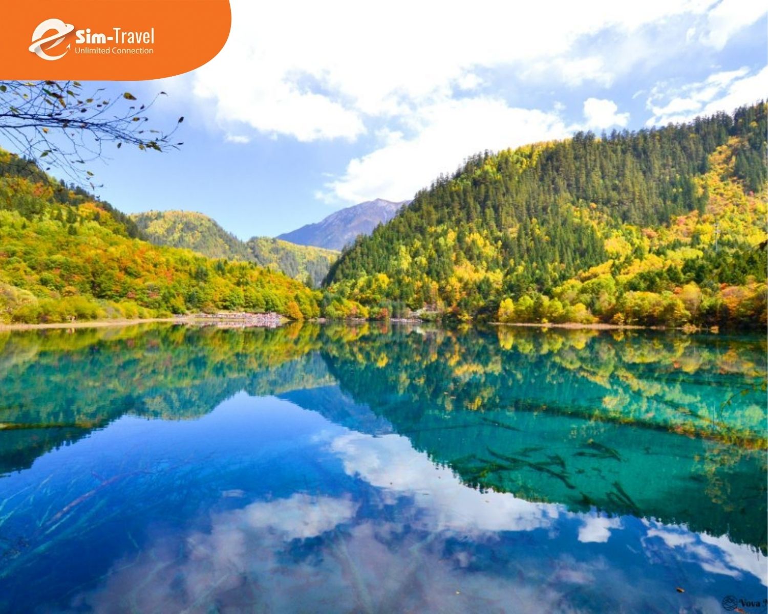 Hồ nước trong xanh phản chiếu rừng thu rực rỡ