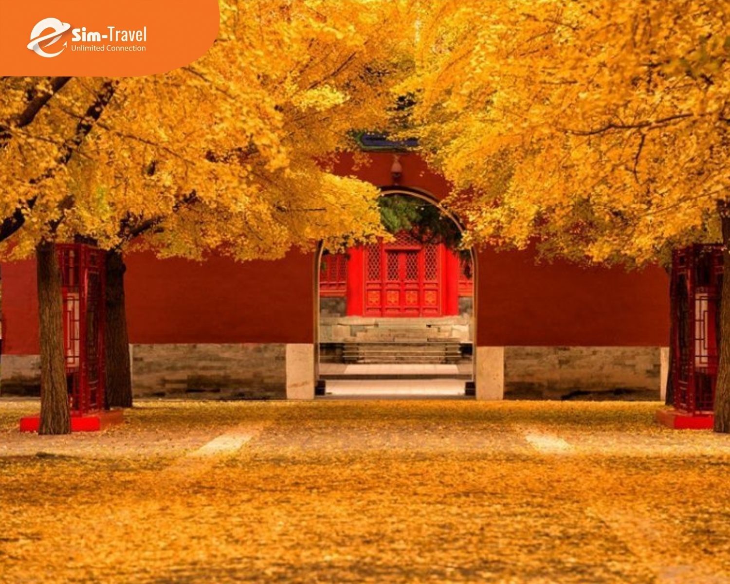 Bắc Kinh cổ k&iacute;nh giữa khung cảnh l&aacute; v&agrave;ng m&ugrave;a thu.