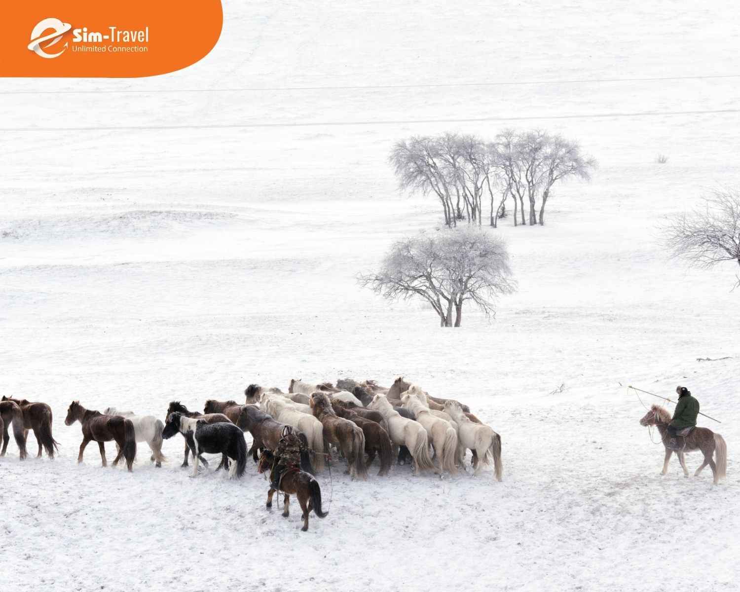 Thảo nguy&ecirc;n Nội M&ocirc;ng m&ugrave;a đ&ocirc;ng rộng lớn phủ tuyết trắng