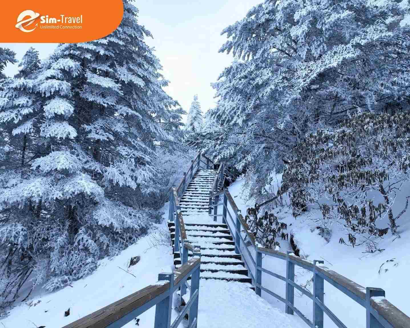 Trương Gia Giới m&ugrave;a đ&ocirc;ng với n&uacute;i đ&aacute; phủ tuyết v&agrave; sương m&ugrave;