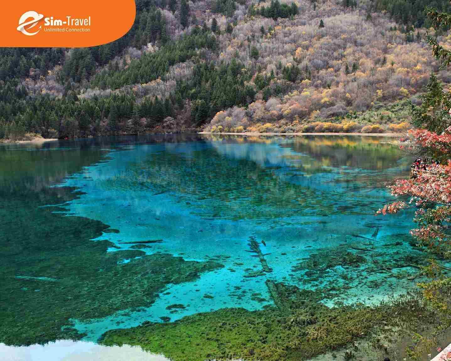 Hồ nước trong xanh tại Cửu Trại C&acirc;u mang vẻ đẹp y&ecirc;n tĩnh đầu xu&acirc;n