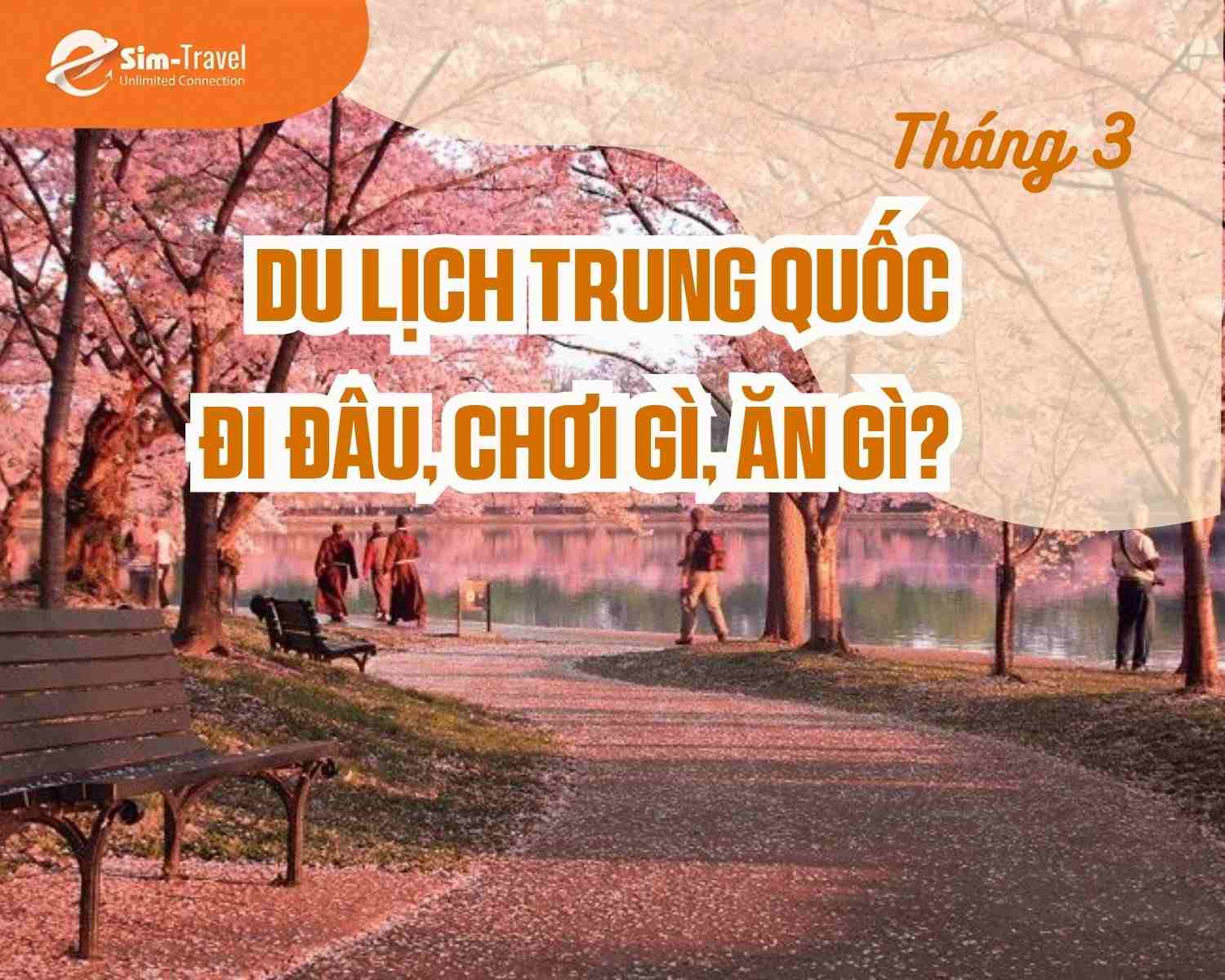 Du lịch Trung Quốc tháng 3: Cẩm nang & 8 điểm "vạn người mê"