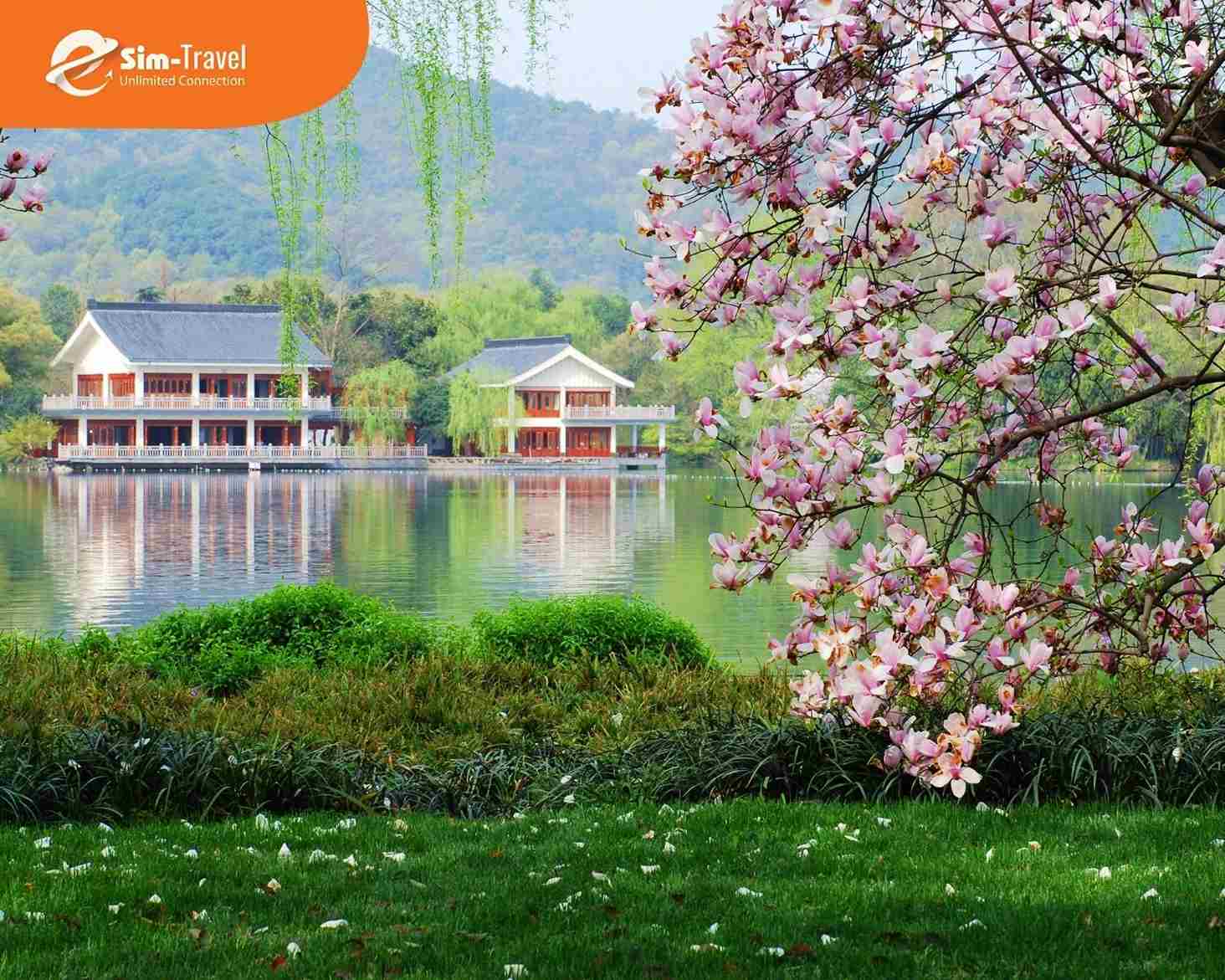 T&acirc;y Hồ H&agrave;ng Ch&acirc;u m&ugrave;a xu&acirc;n với hoa anh đ&agrave;o v&agrave; liễu rủ