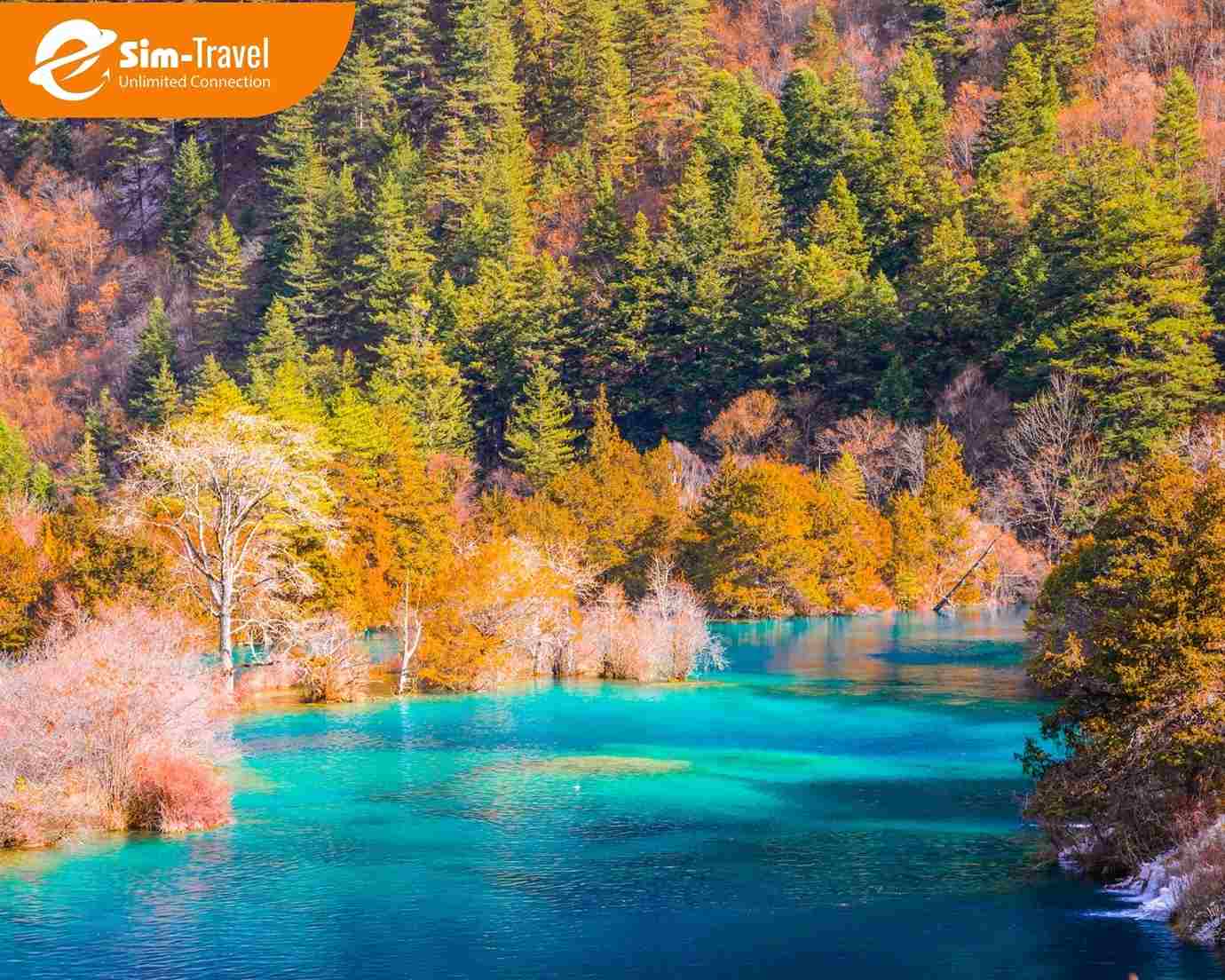 Cửu Trại Ch&acirc;u Trung Quốc th&aacute;ng 6 đẹp cỡ n&agrave;o?