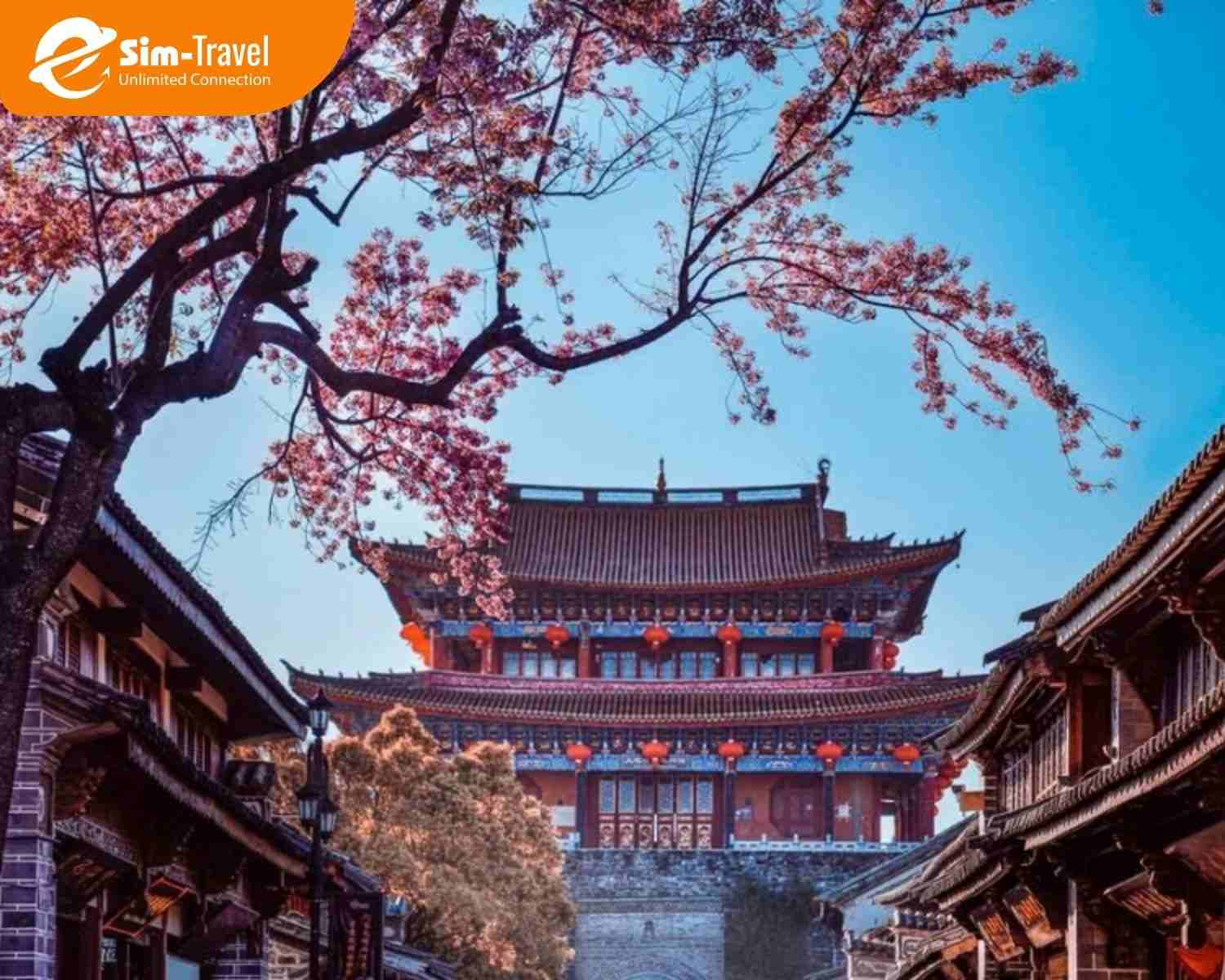 Đại L&yacute; đẹp m&atilde;n nh&atilde;n trong sắc hoa phượng t&iacute;m th&aacute;ng 9