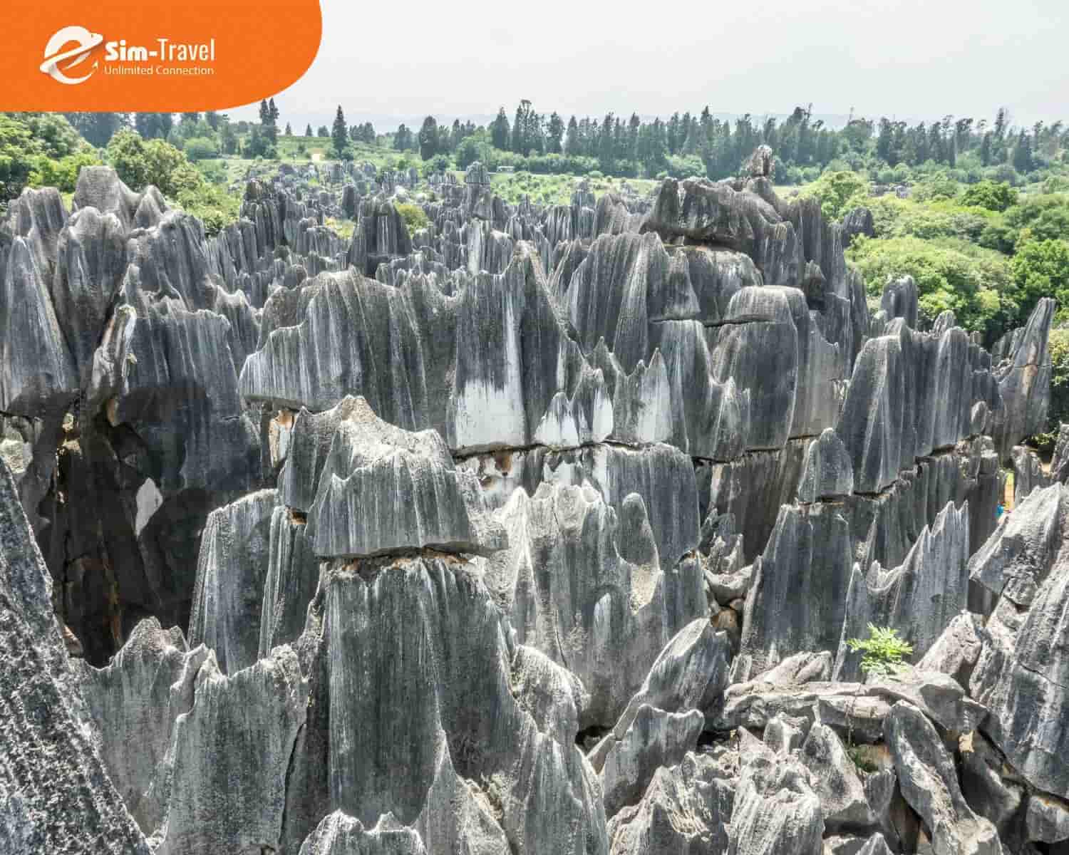 Rừng Đá Thạch Lâm (Shilin) với những cột đá hình thù độc đáo