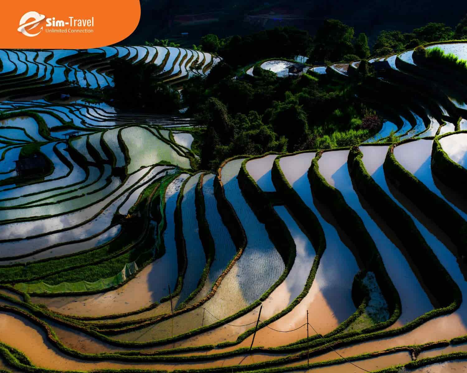 Ruộng bậc thang Nguyên Dương