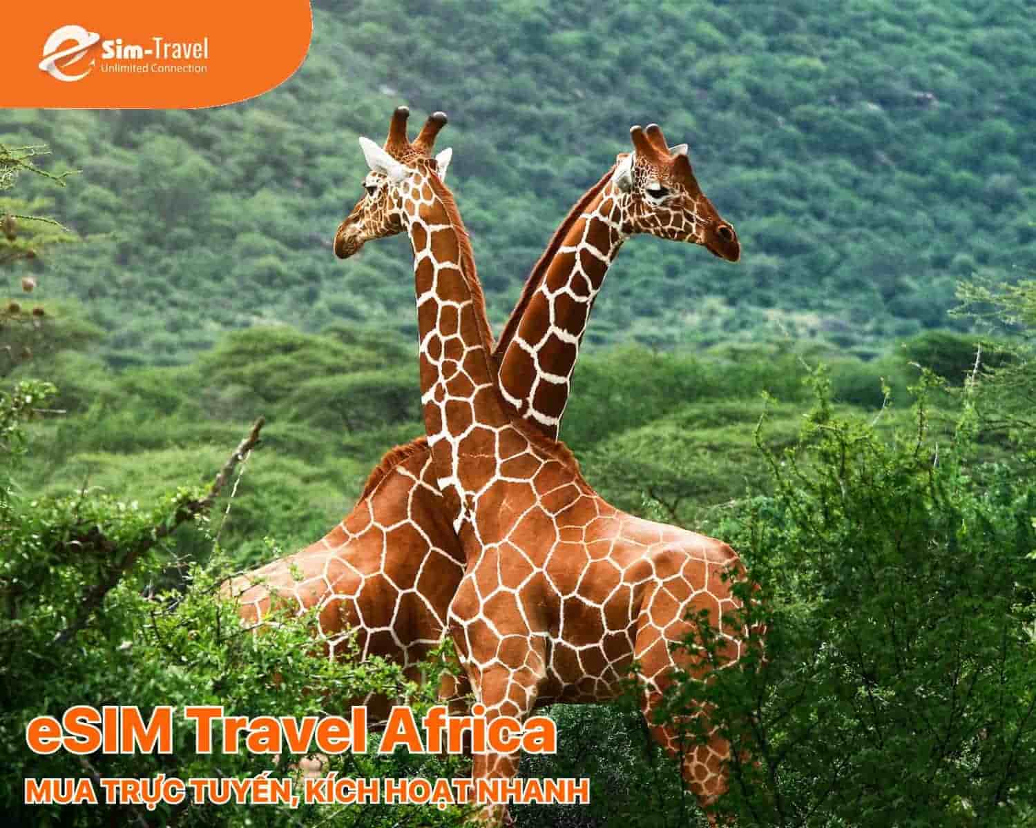 Mua trực tuyến, k&iacute;ch hoạt nhanh v&agrave; tận hưởng h&agrave;nh tr&igrave;nh liền mạch.