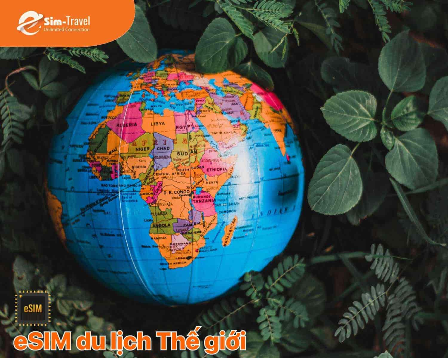 Mua online, nhận m&atilde; QR ngay, c&agrave;i đặt đơn giản trước khi bay ra nước ngo&agrave;i.