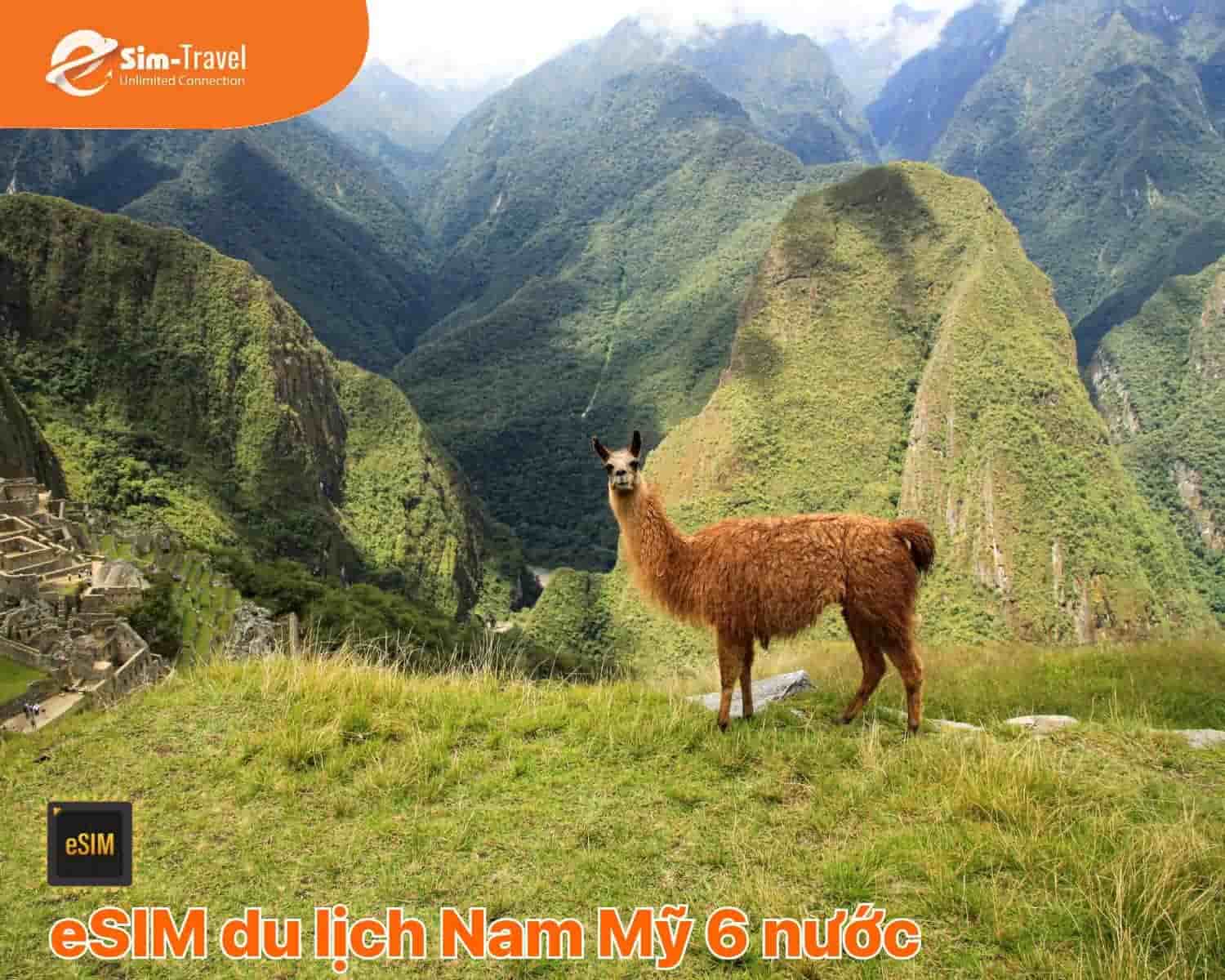 eSIM Nam Mỹ 6 quốc gia - Kết nối nhanh ch&oacute;ng, kh&ocirc;ng cần đổi SIM