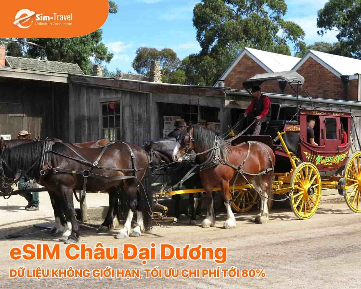 Tiết kiệm đến 80% chi ph&iacute; so với roaming quốc tế hay SIM vật l&yacute; s&acirc;n bay.