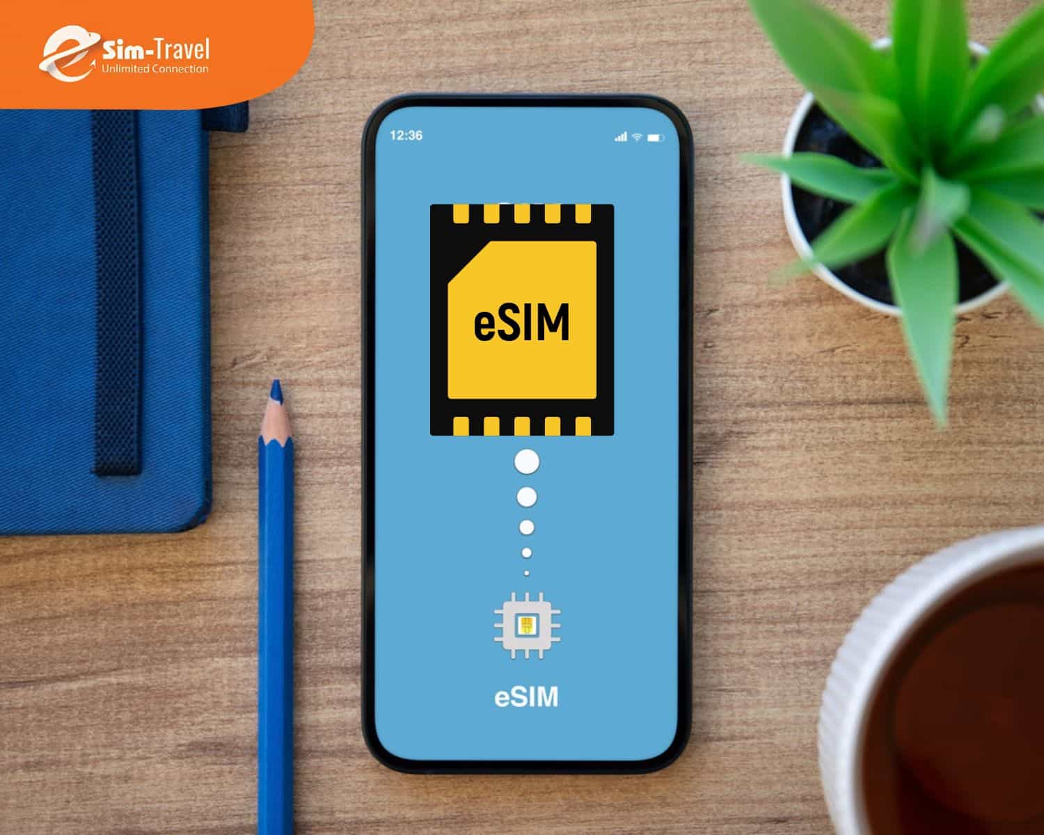 Lợi &iacute;ch khi d&ugrave;ng eSIM Canada USA 