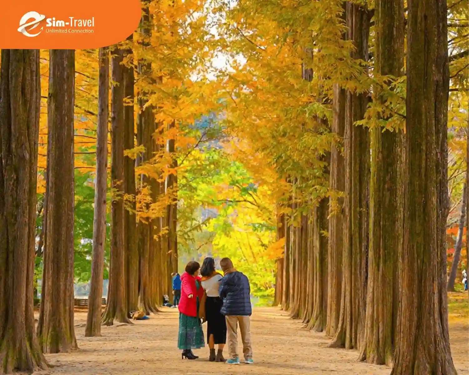 Đảo Nami thơ mộng