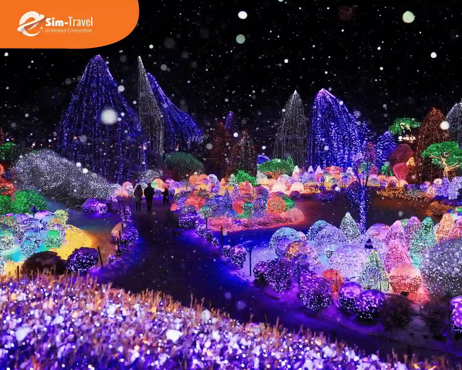 Ánh đèn rực rỡ ở Garden of Morning Calm