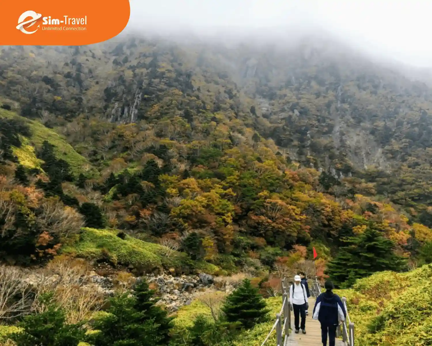 Du khách leo núi Hallasan