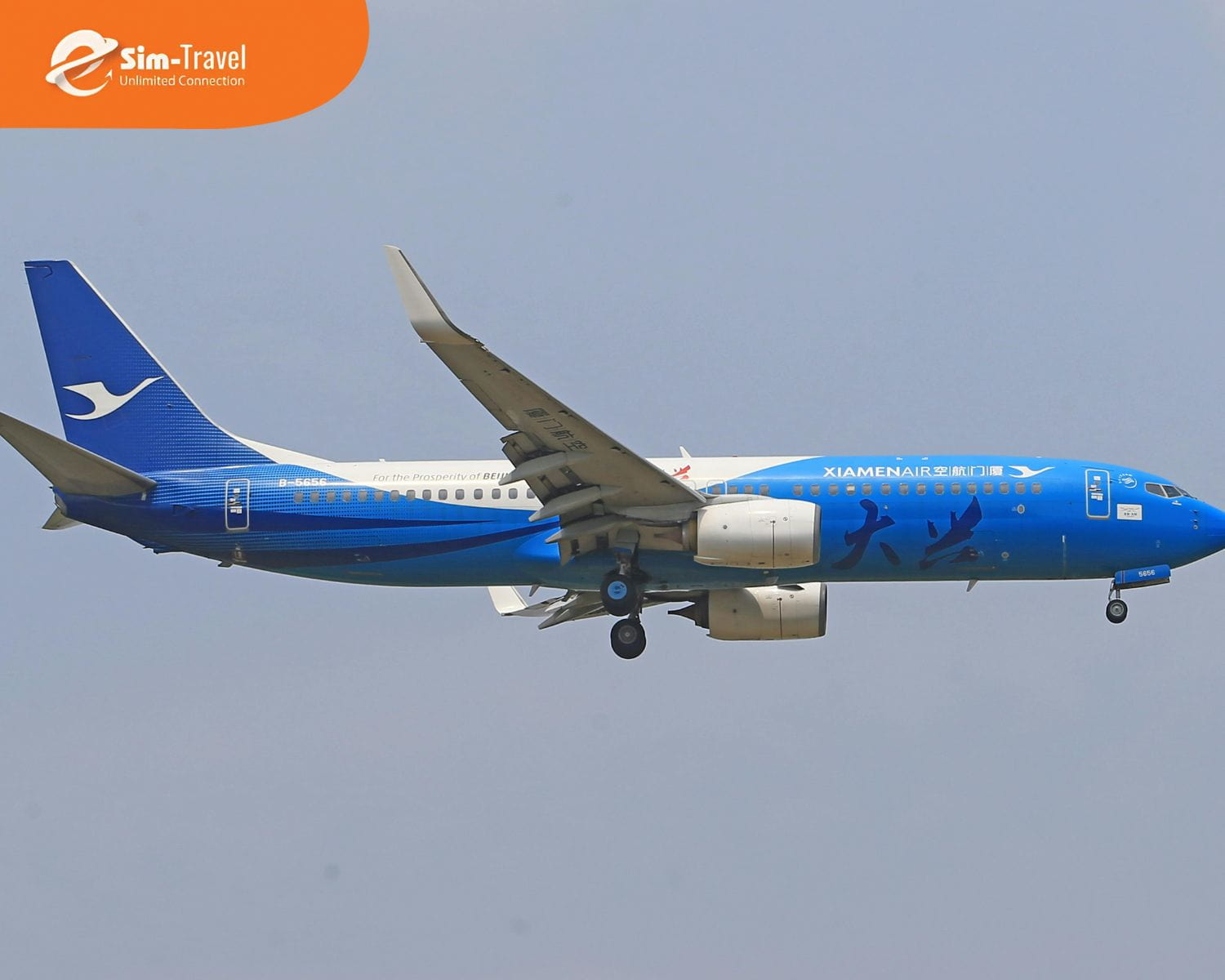 Đặt chuyến bay Việt Nam - Hạ Môn sớm giúp tiết kiệm chi phí di chuyển đáng kể