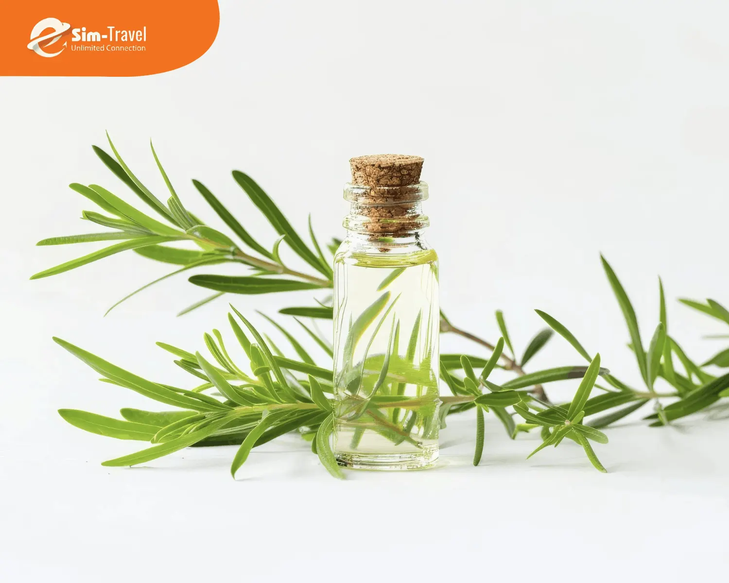 Tinh dầu thiên nhiên hỗ trợ thư giãn tinh thần, tốt cho sức khoẻ