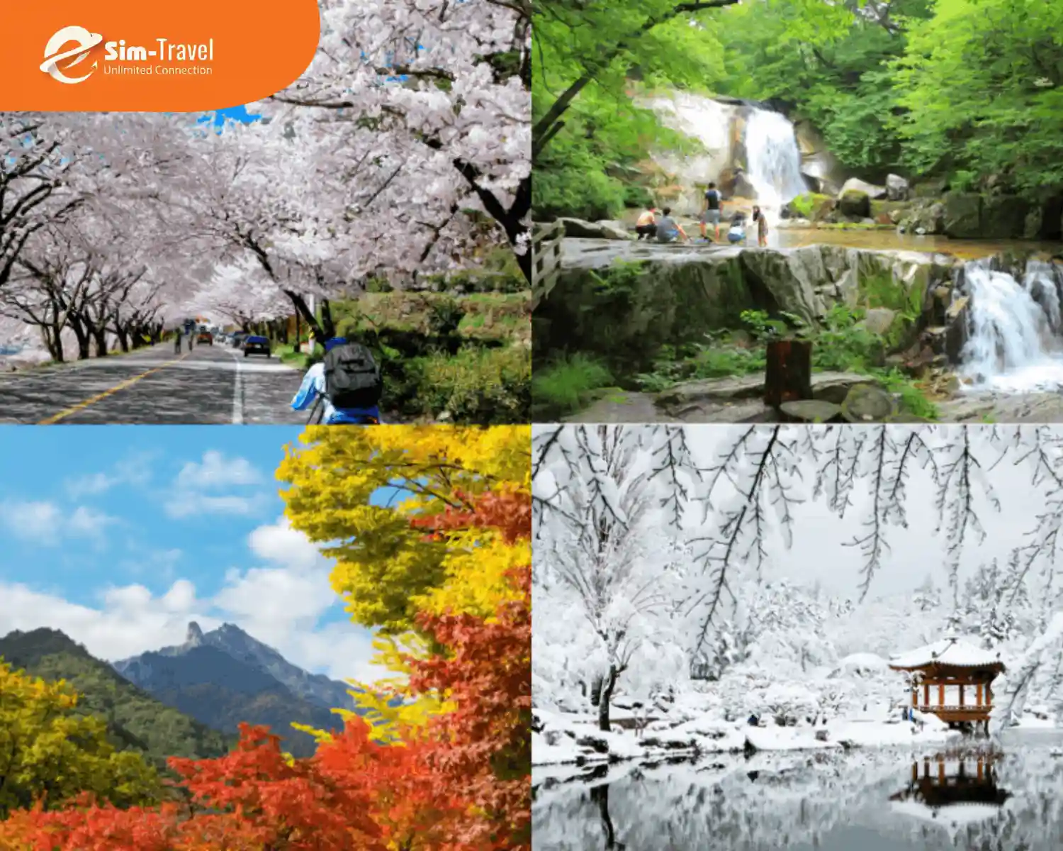 Thời tiết mỗi mùa ở Hàn đều có nét đặc trưng riêng biệt