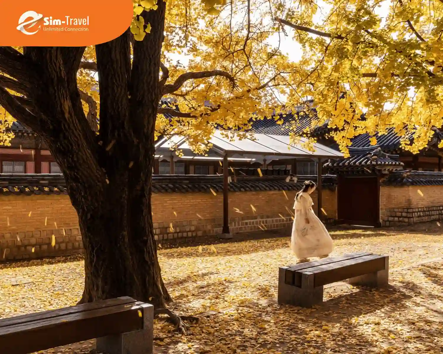 Sắc đỏ vàng rực rỡ mùa thu Hàn Quốc