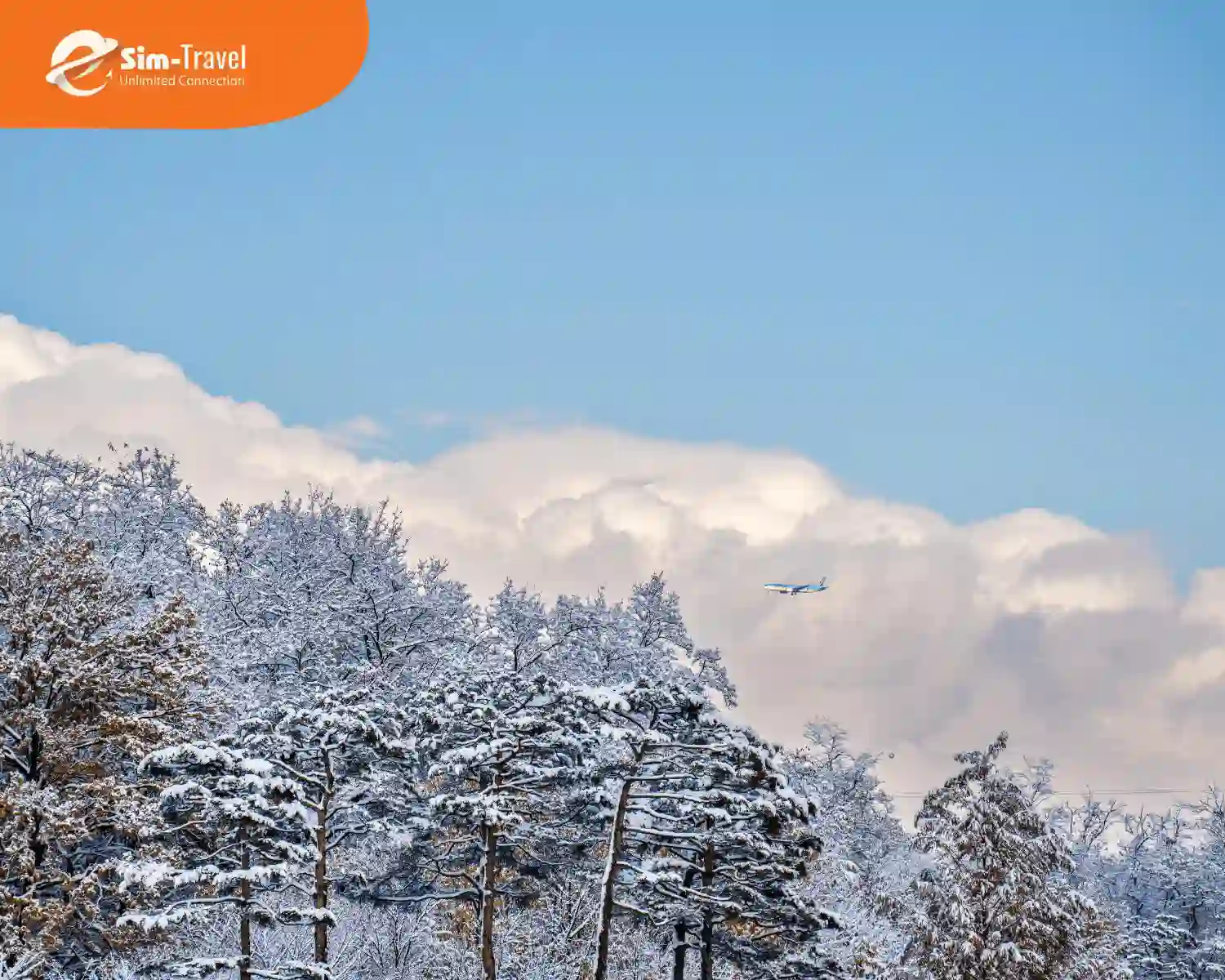 Mùa đông Hàn Quốc đặc trưng bởi khung cảnh tuyết trắng
