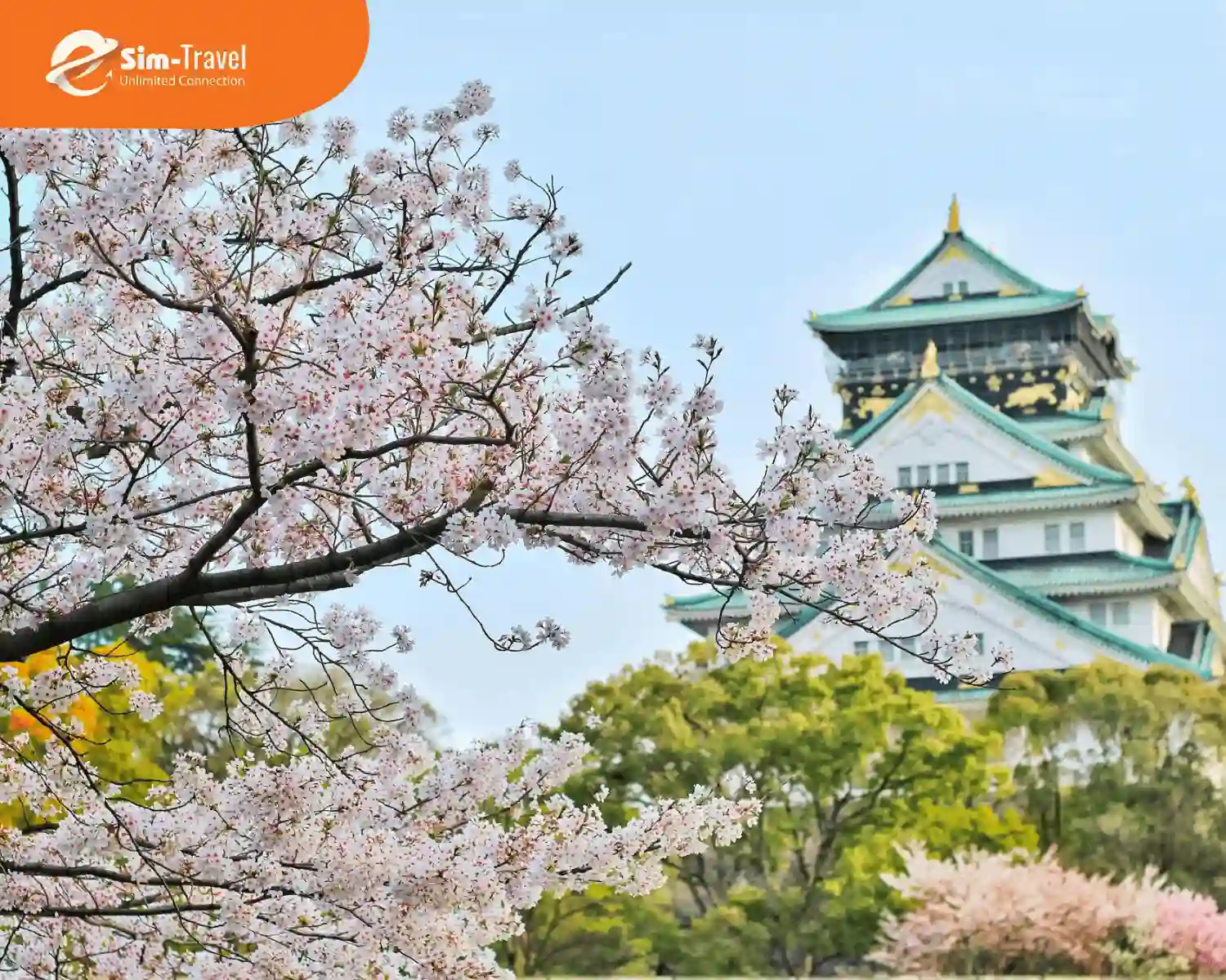 Lâu đài Osaka ẩn dưới tán hồng hoa anh đào