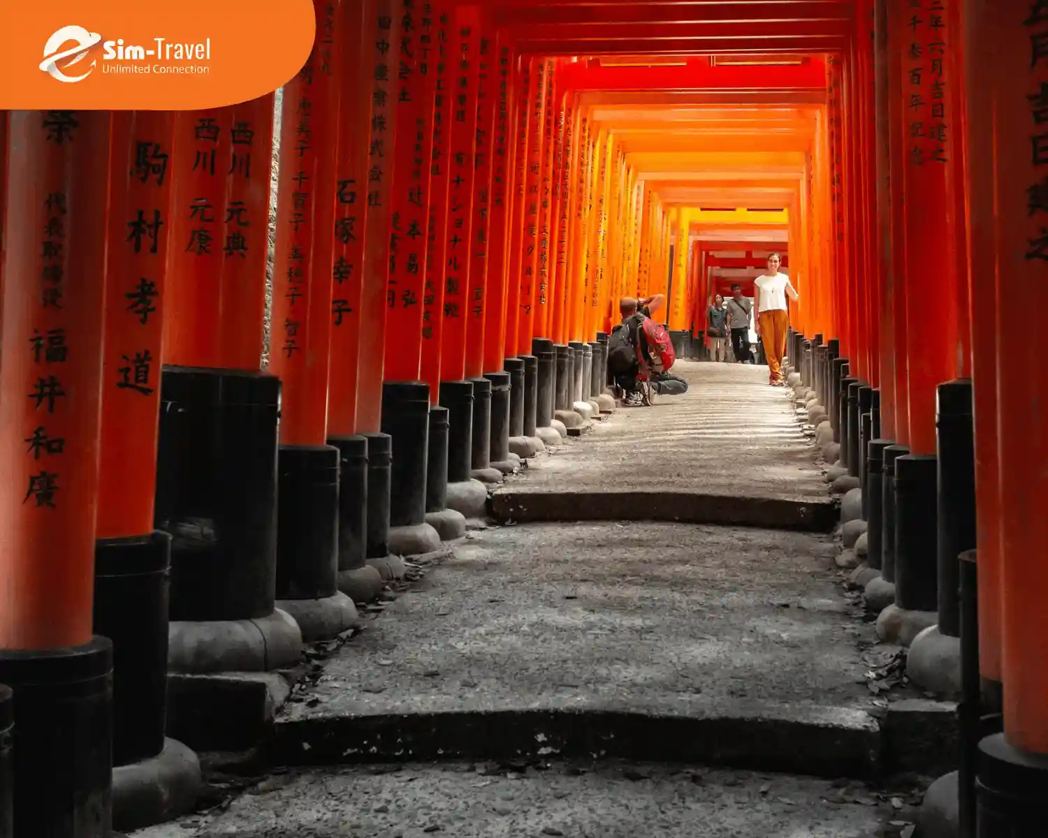 Đền Fushimi Inari Taisha linh thiêng nổi bật với hàng nghìn cổng Torii đỏ