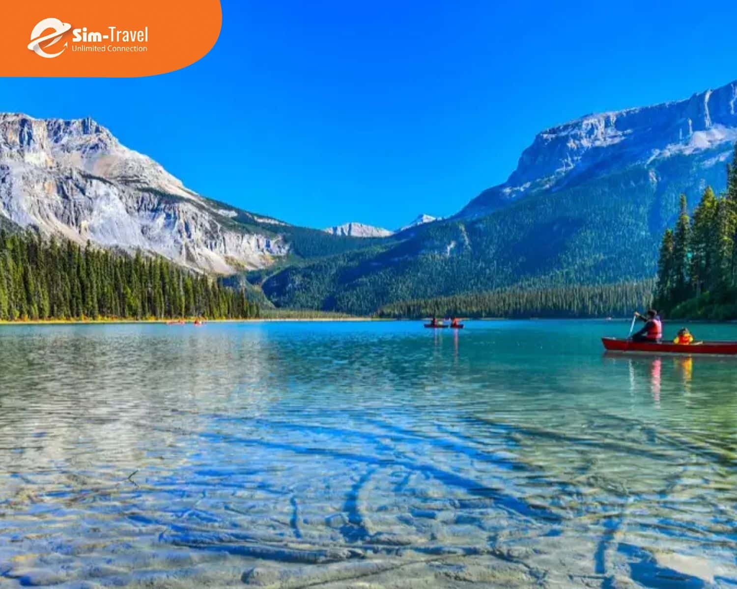 Top 3 sai lầm khi mua SIM du lịch Canada dễ mắc phải nhất