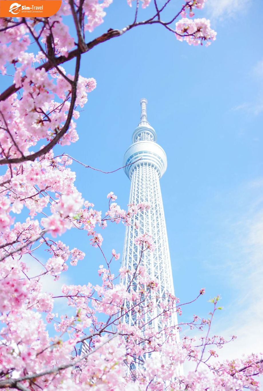 Tokyo Skytree - Đỉnh cao kiến trúc Nhật Bản