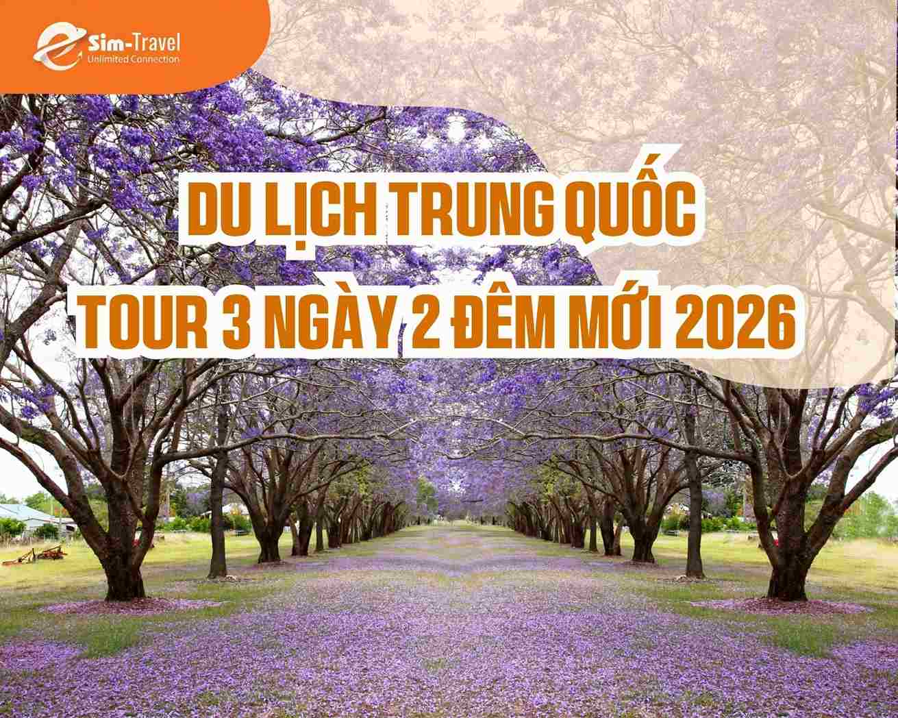 [MỚI] Tour Du Lịch Trung Quốc 3 Ngày 2 Đêm Đẹp Nhất 2026