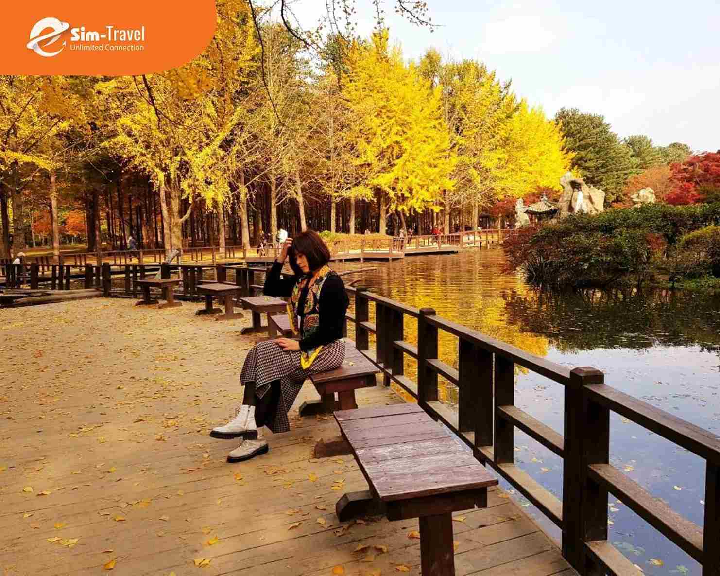 Đảo Nami g&acirc;y ấn tượng với khung cảnh thi&ecirc;n nhi&ecirc;n thơ mộng v&agrave; những h&agrave;ng c&acirc;y thay đổi theo từng m&ugrave;a