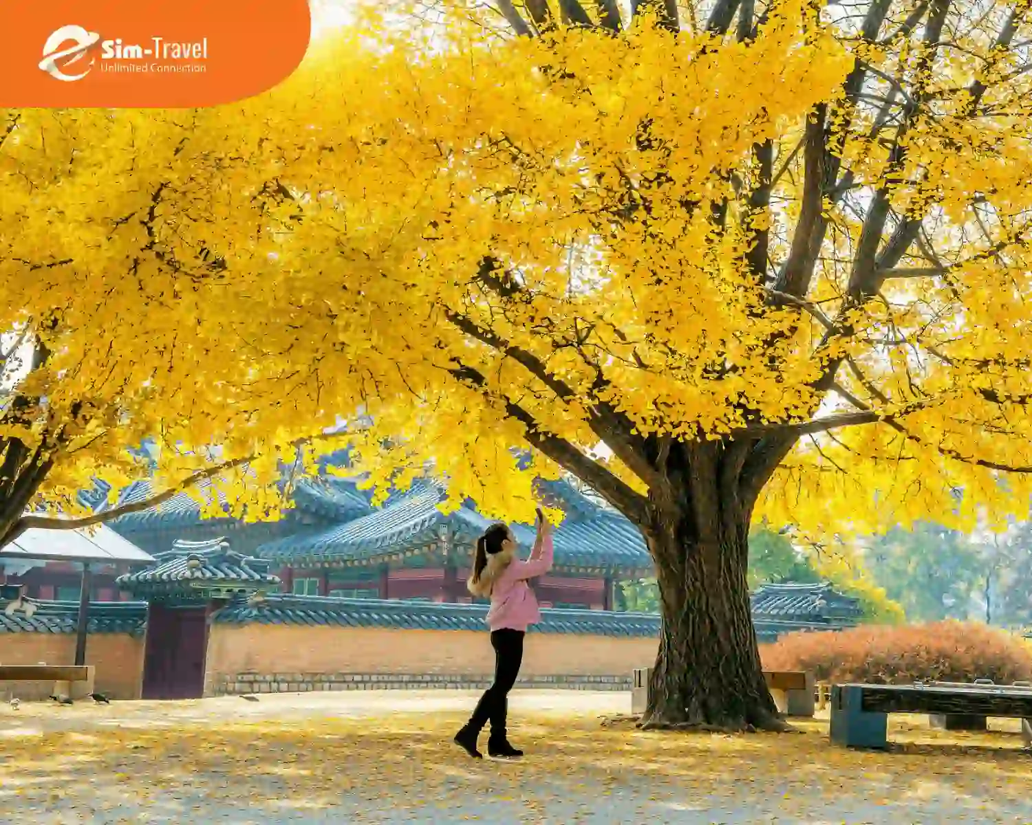 Lưu giữ những khoảnh khắc đẹp của thiên nhiên mùa thu Hàn Quốc