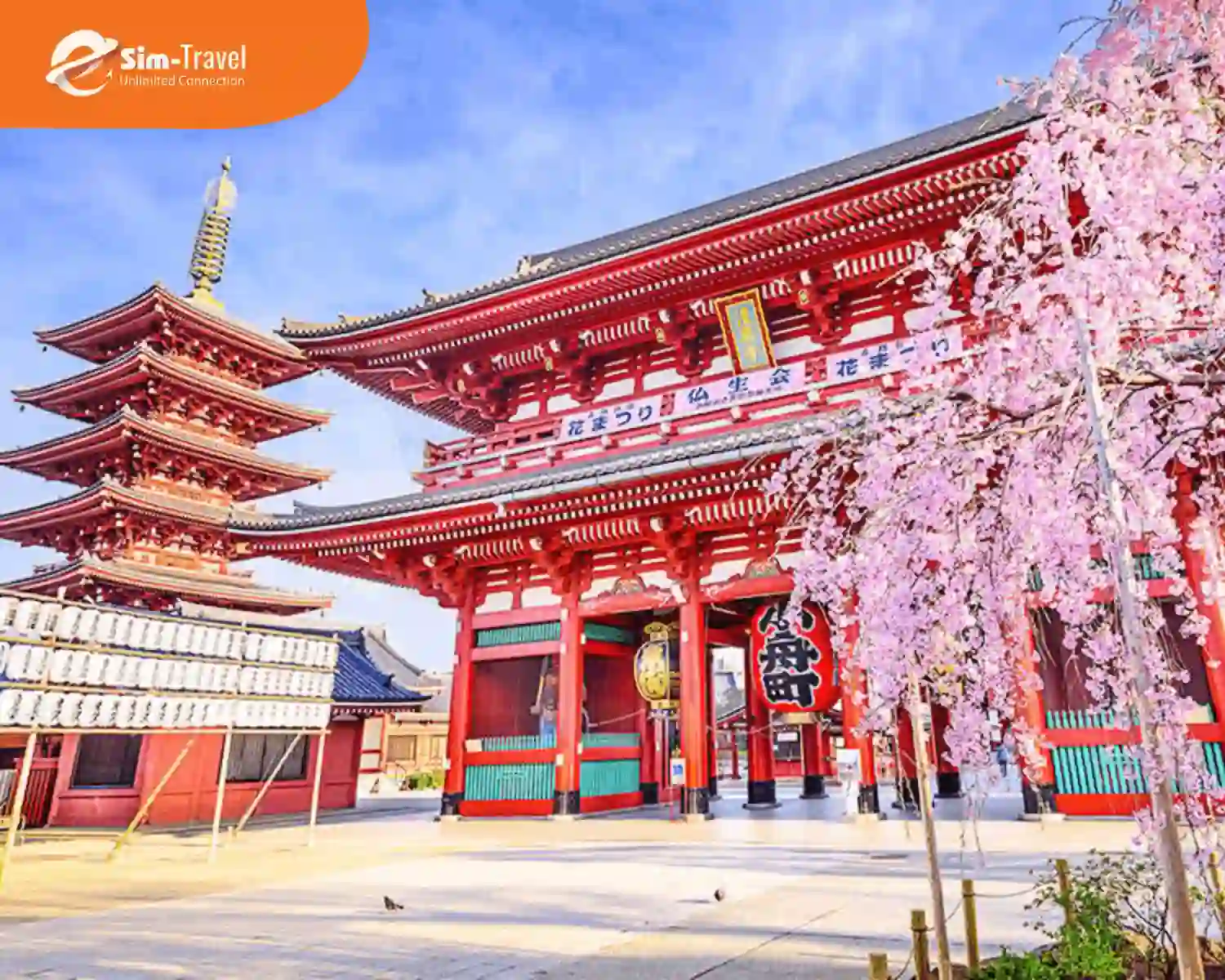 Chọn tour trọn gói giúp bạn tối ưu chi phí