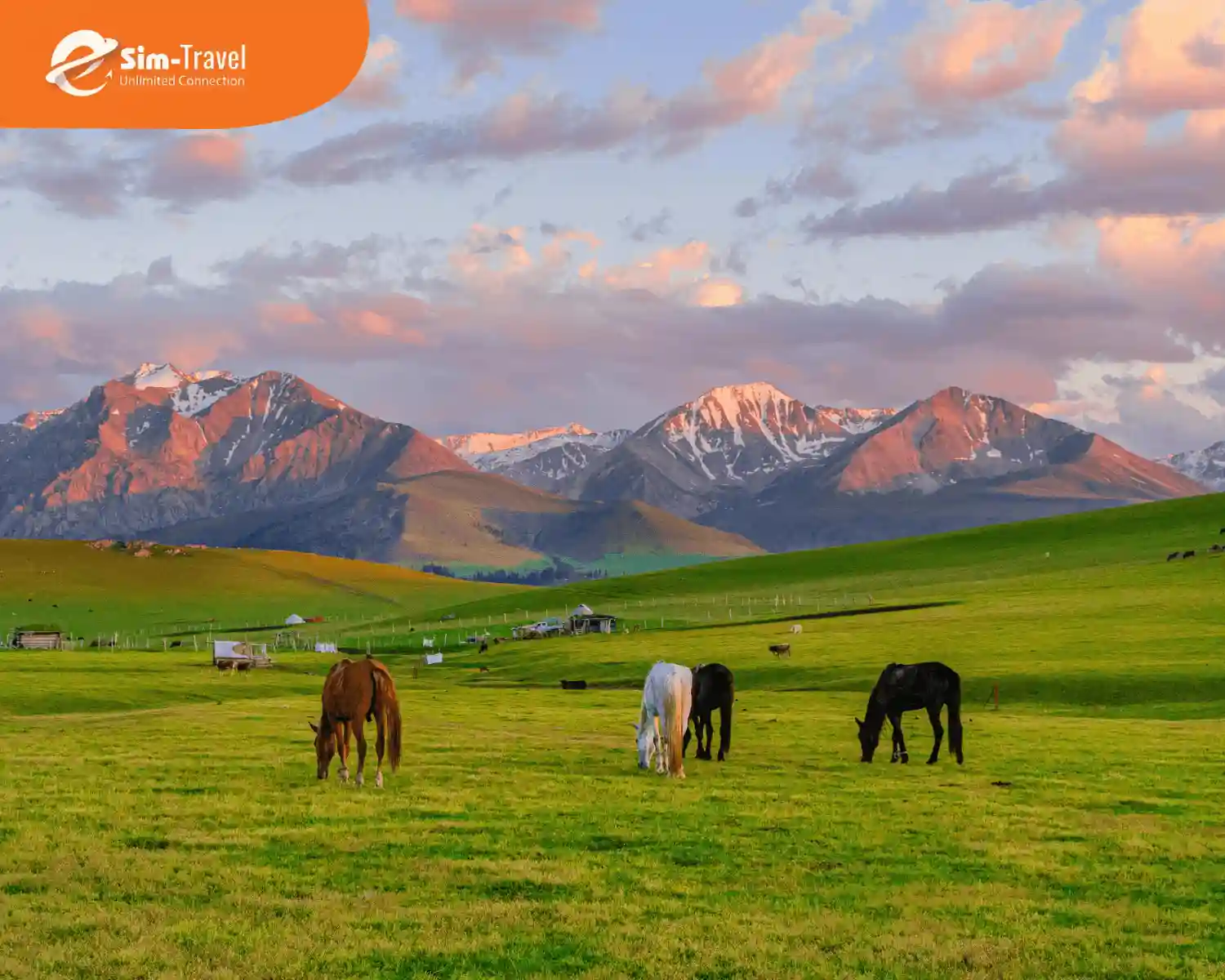 Tour Du Lịch Trung Quốc 10 Ngày - Hành Trình Đáng Nhớ