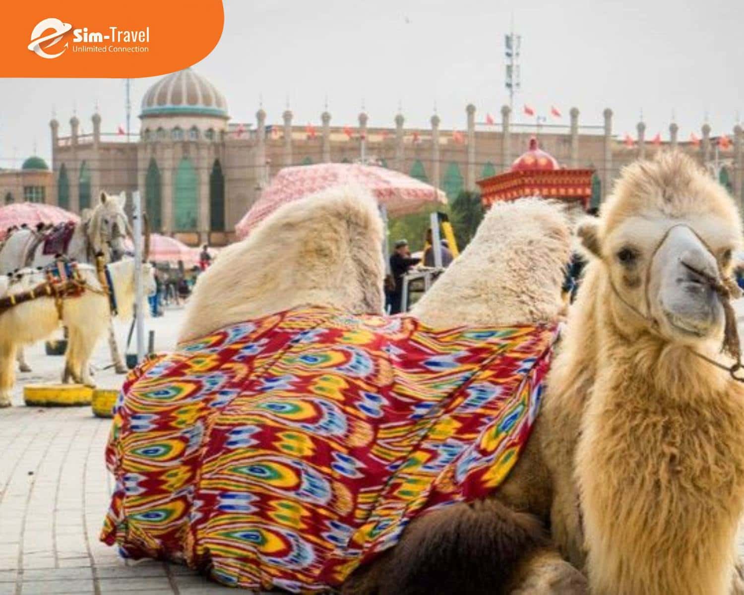 Gi&aacute; tour minh bạch dễ d&agrave;ng lựa chọn ph&ugrave; hợp