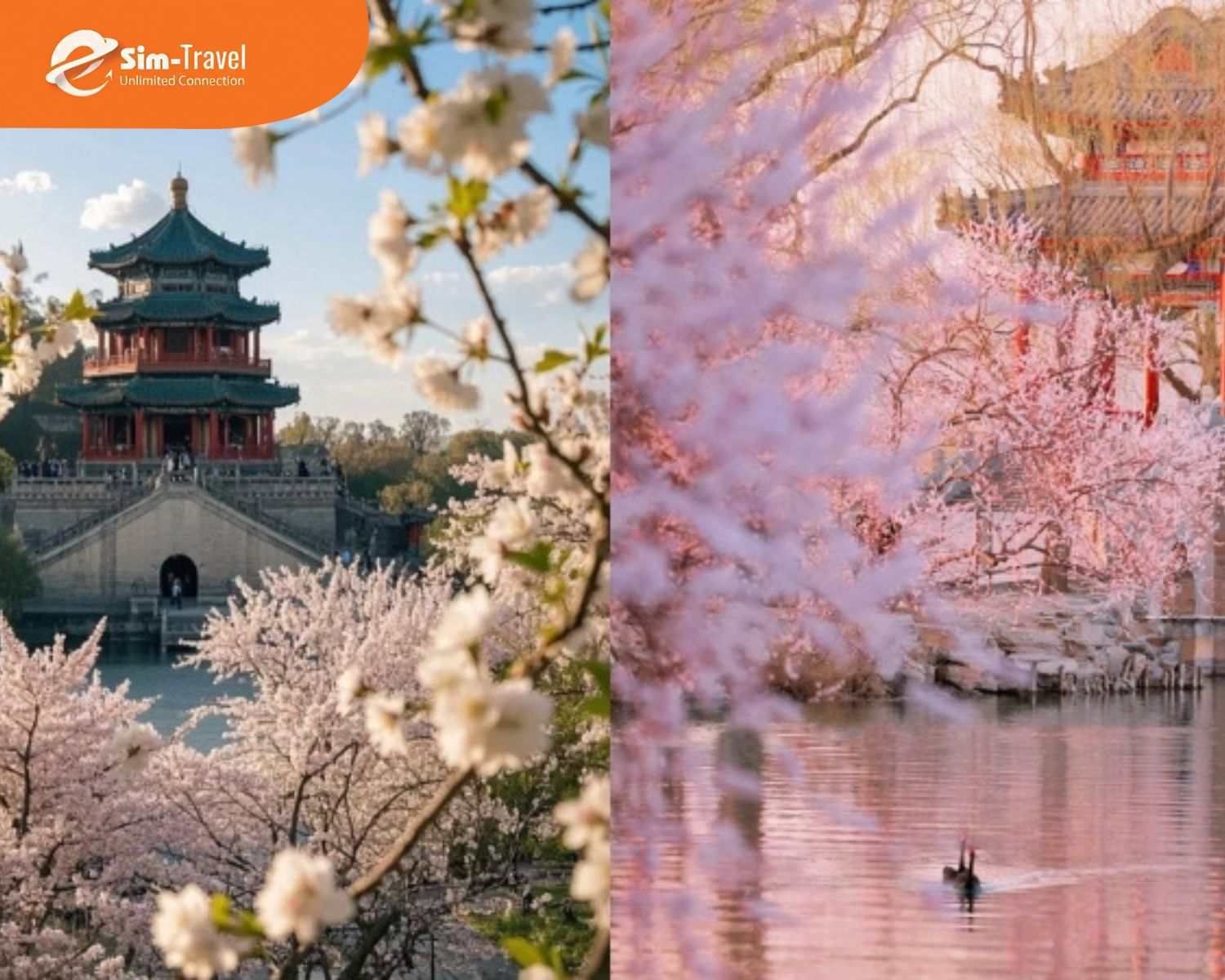 Thời tiết Trung Quốc thay đổi r&otilde; rệt theo từng v&ugrave;ng