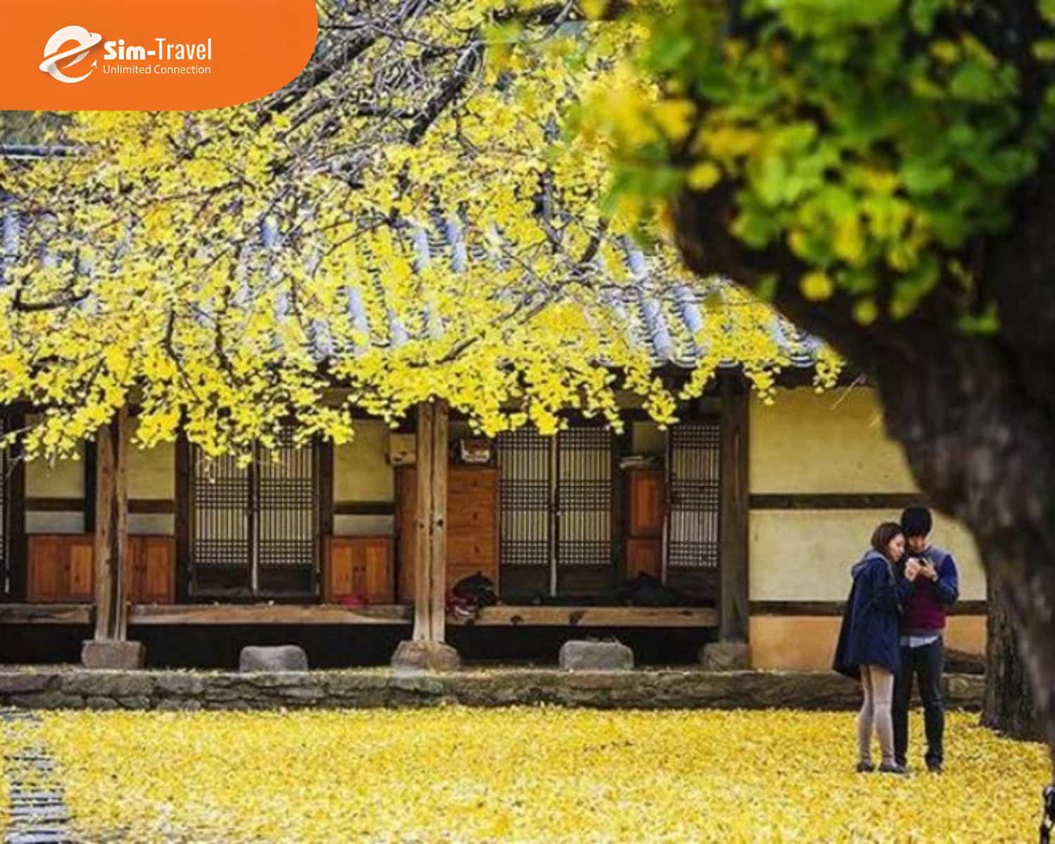 tour-han-quoc-4-ngay-4-dem-08