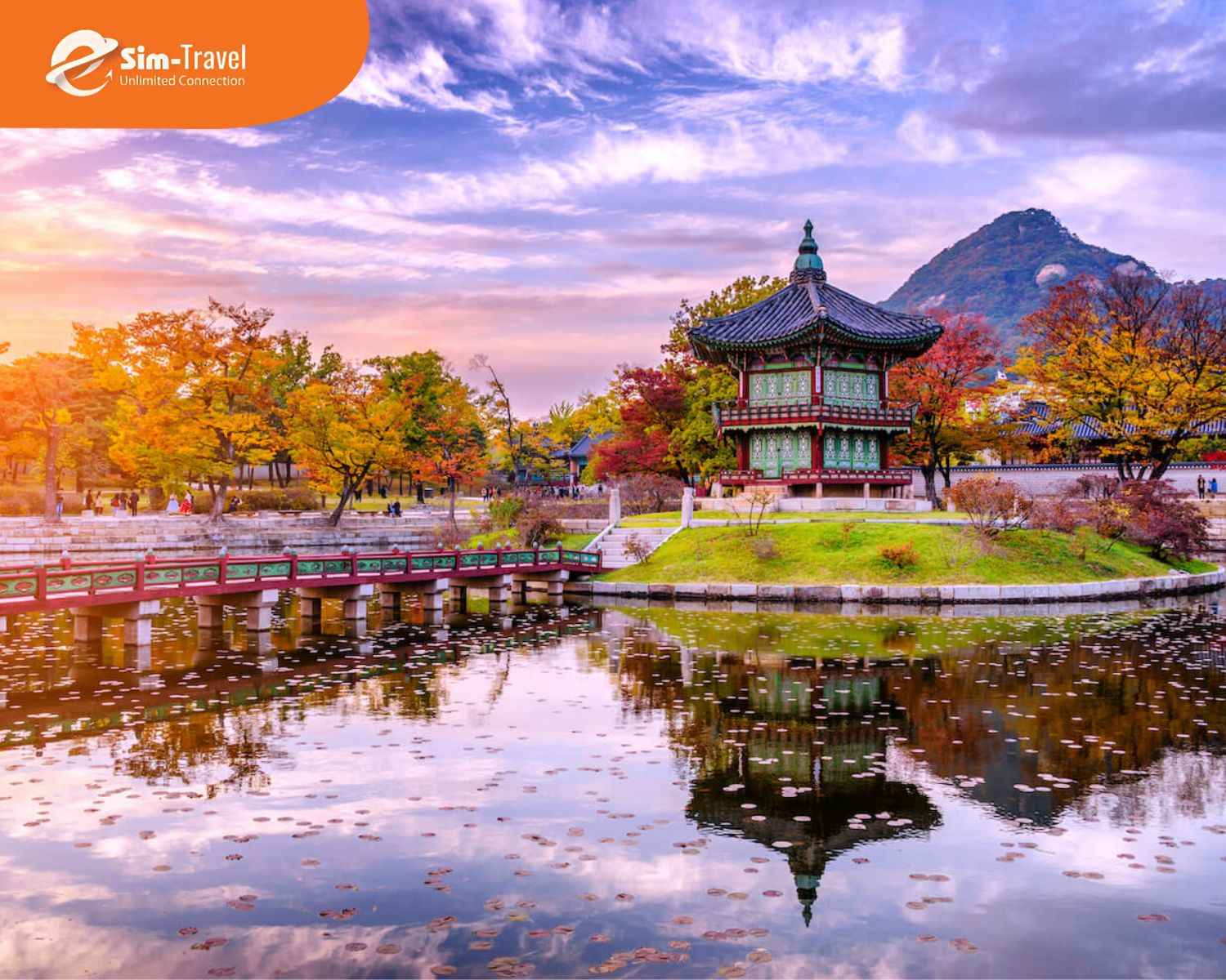 Tour H&agrave;n Quốc 6 ng&agrave;y 5 đ&ecirc;m l&agrave; h&agrave;nh tr&igrave;nh l&yacute; tưởng để kh&aacute;m ph&aacute; trọn vẹn xứ sở kim chi