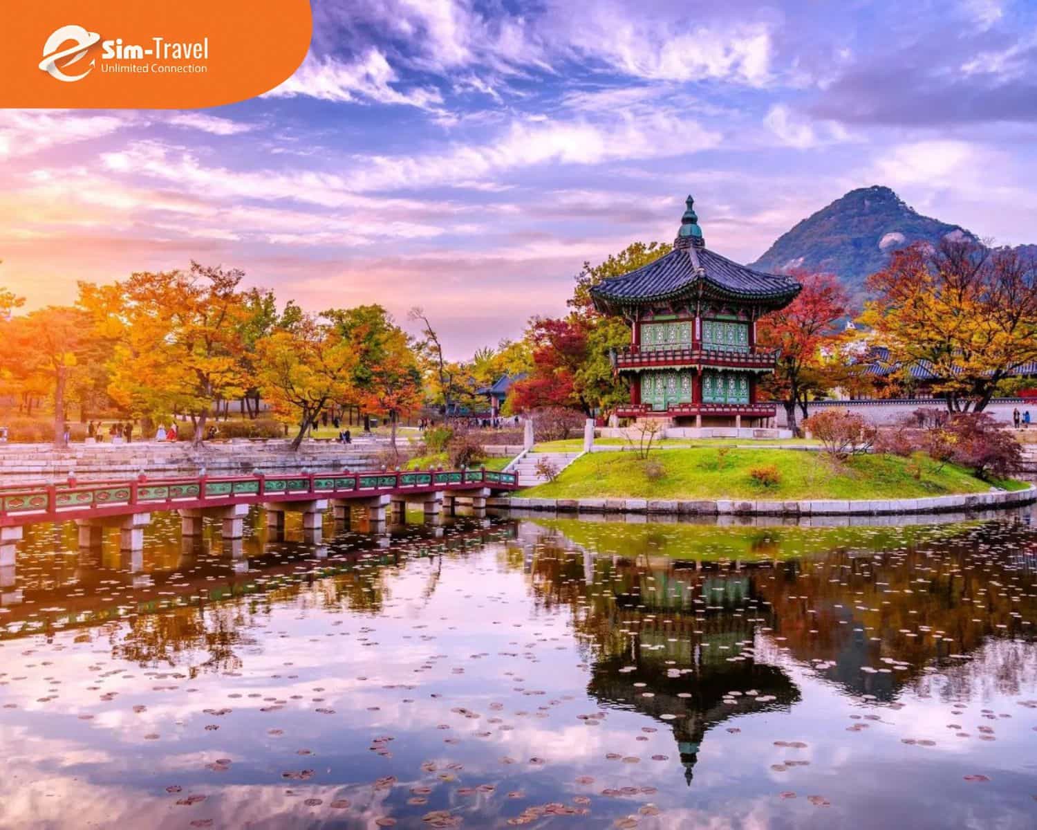 Tour H&agrave;n Quốc 8 ng&agrave;y 7 đ&ecirc;m ph&ugrave; hợp cho h&agrave;nh tr&igrave;nh kh&aacute;m ph&aacute; s&acirc;u hơn