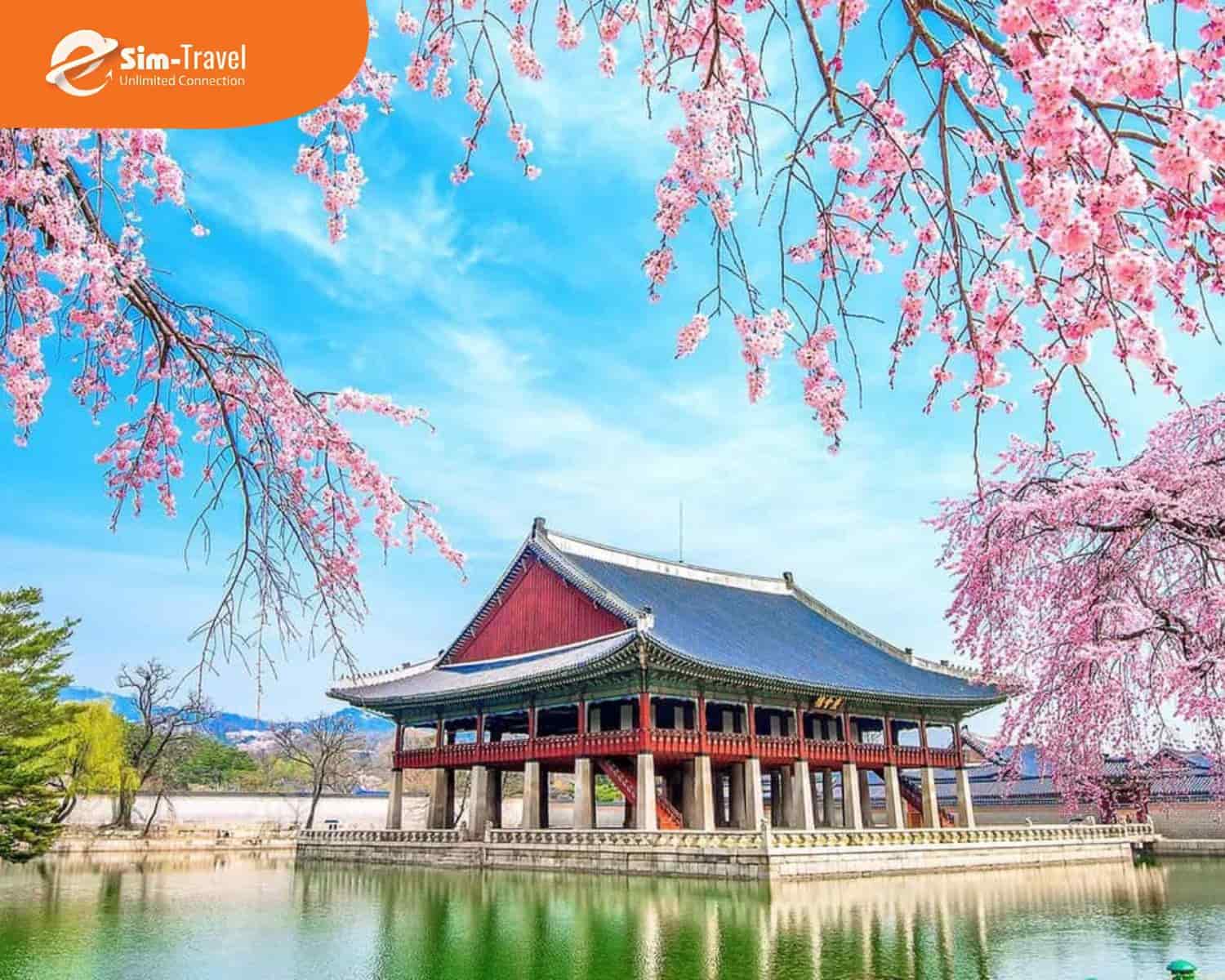 Chọn tour H&agrave;n Quốc hợp l&yacute; gi&uacute;p lịch tr&igrave;nh nhẹ nh&agrave;ng hơn